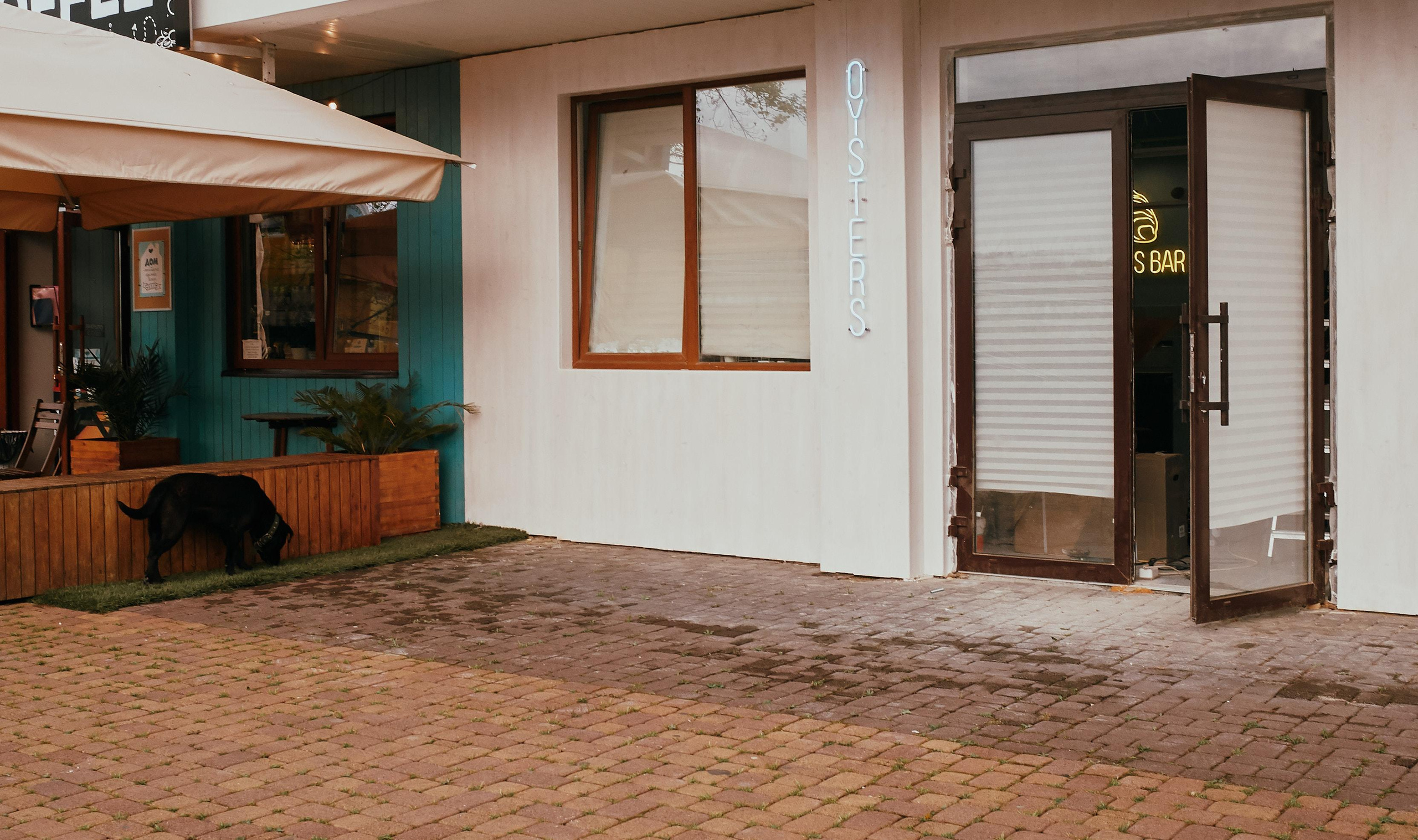 #мелкийжемчуг. Ольга Шкотова документальный фотограф