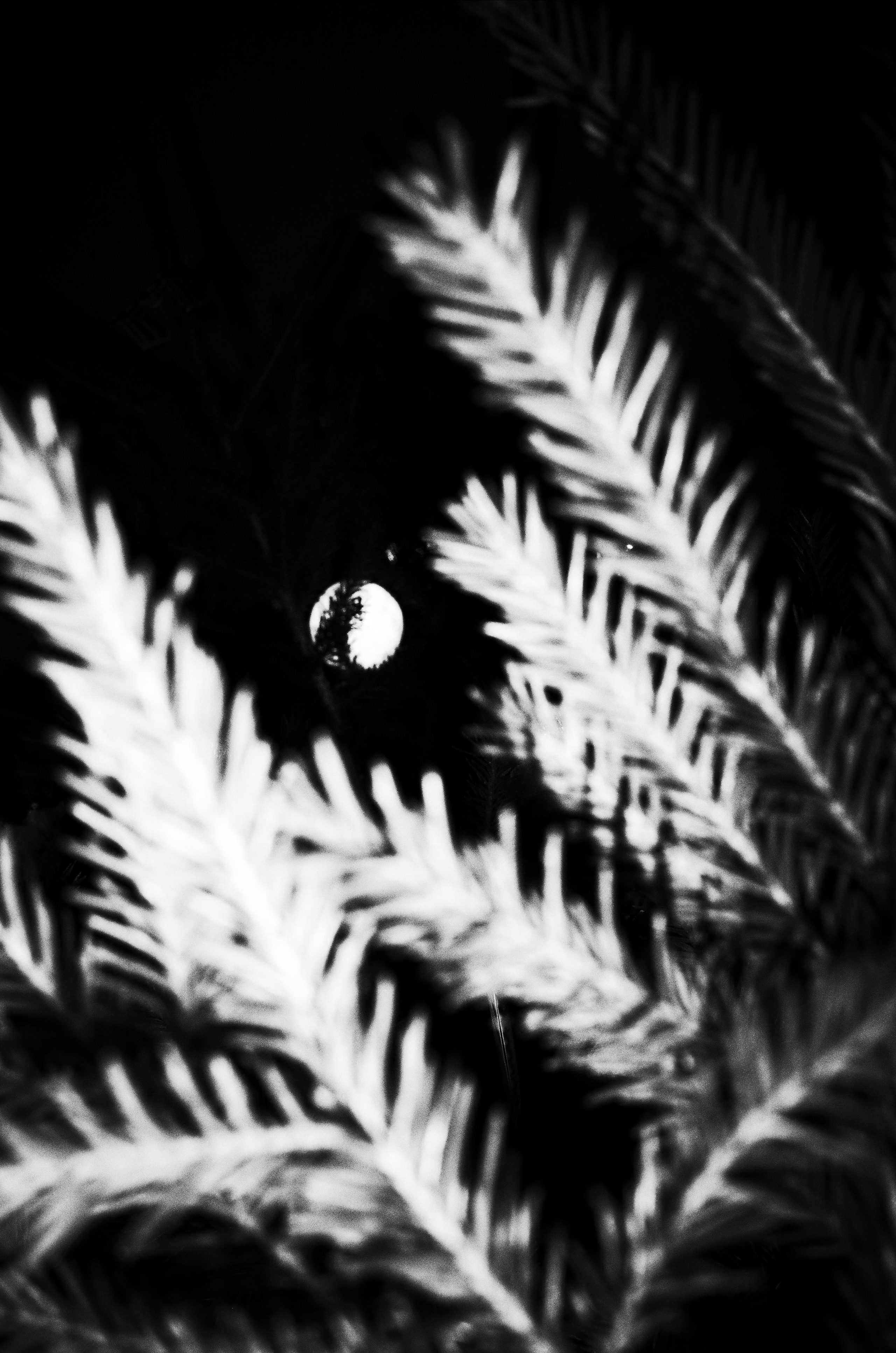 Личный дневник. Ольга Шкотова документальный фотограф