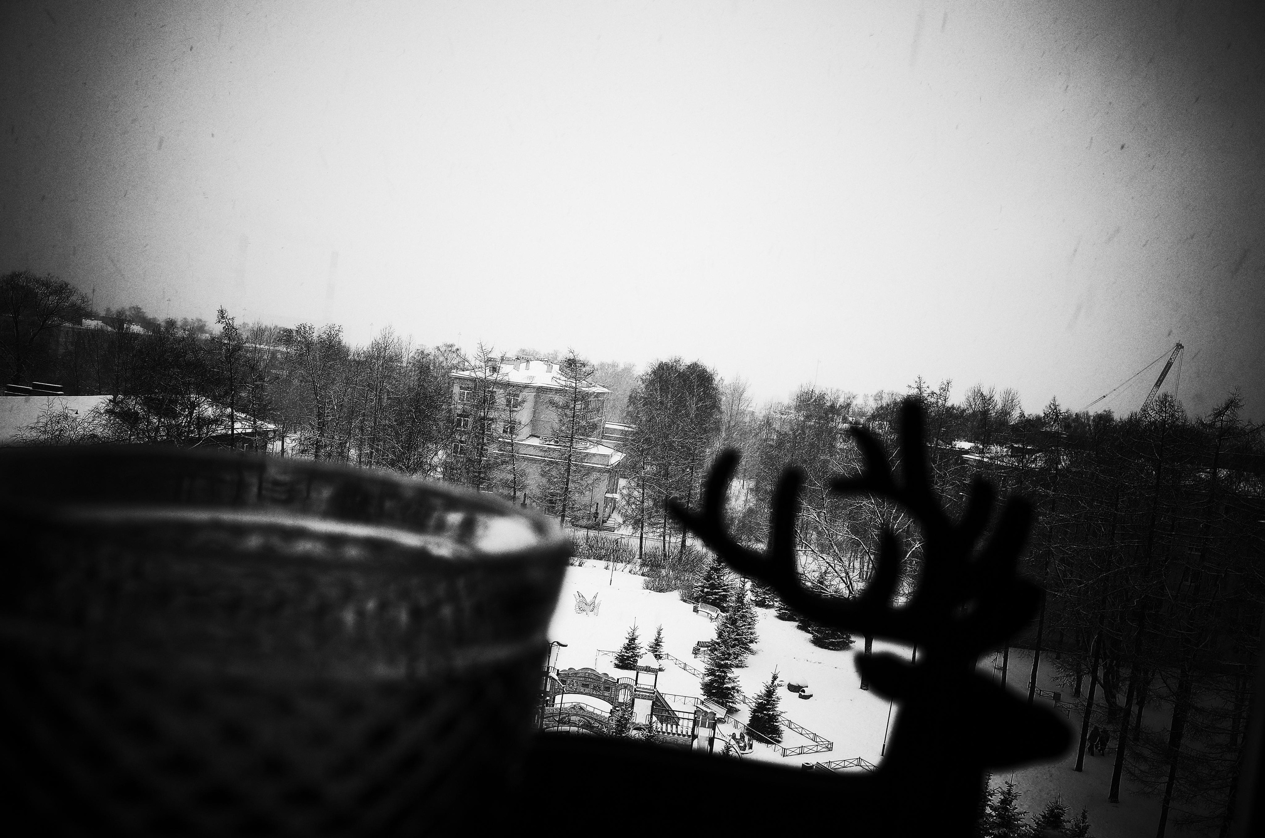 Личный дневник. Ольга Шкотова документальный фотограф