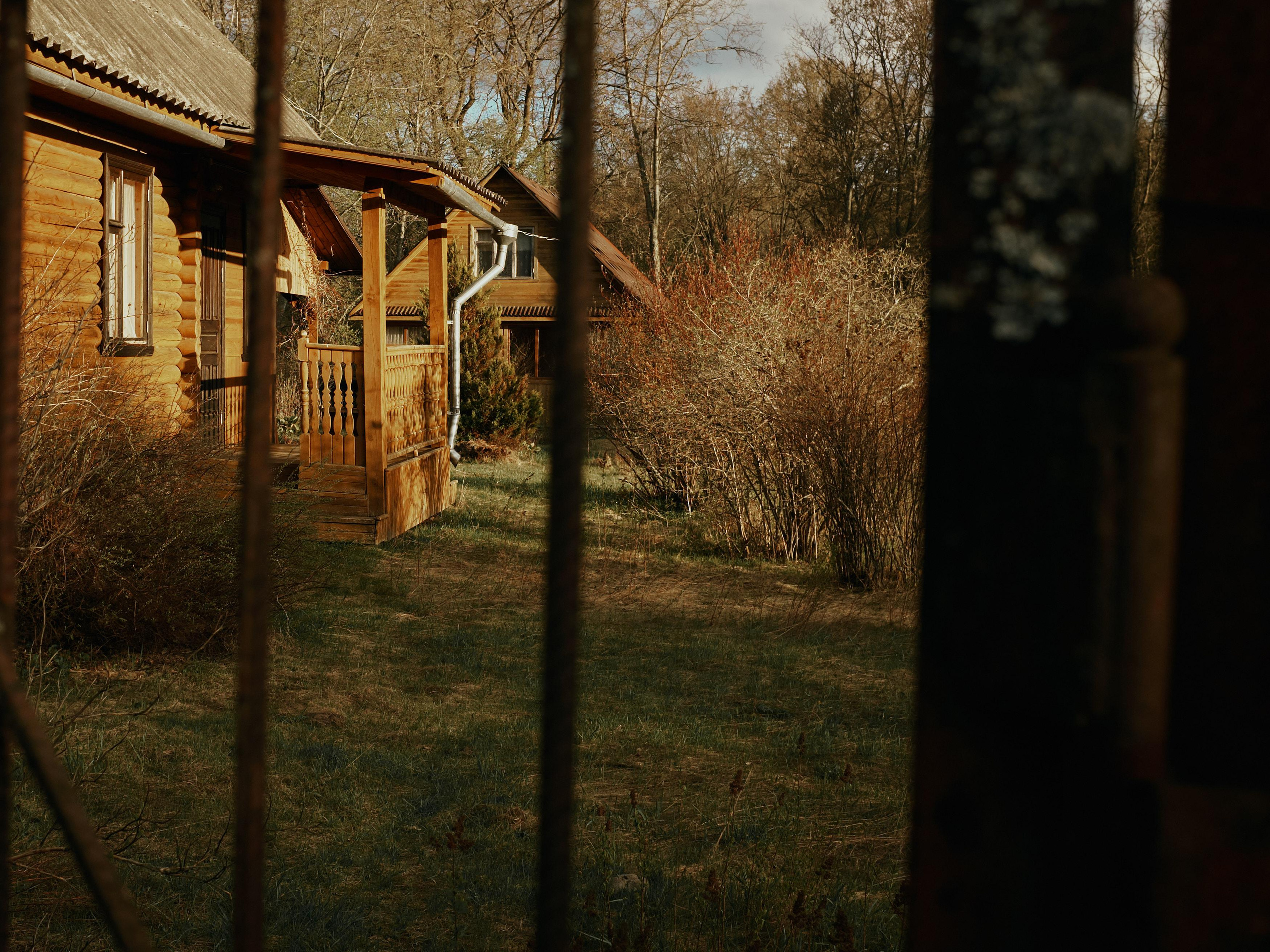 Ящера. Ольга Шкотова документальный фотограф