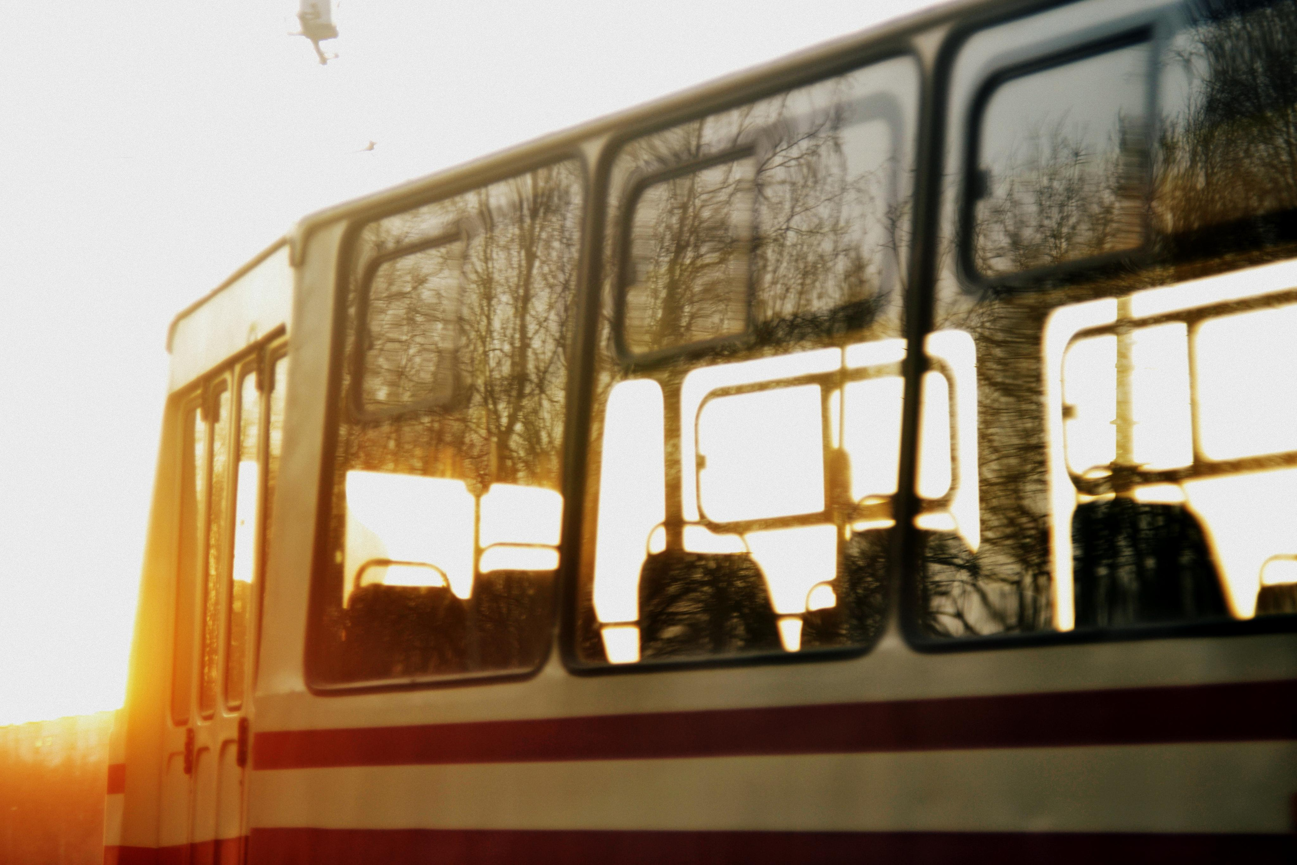 #мелкийжемчуг. Ольга Шкотова документальный фотограф