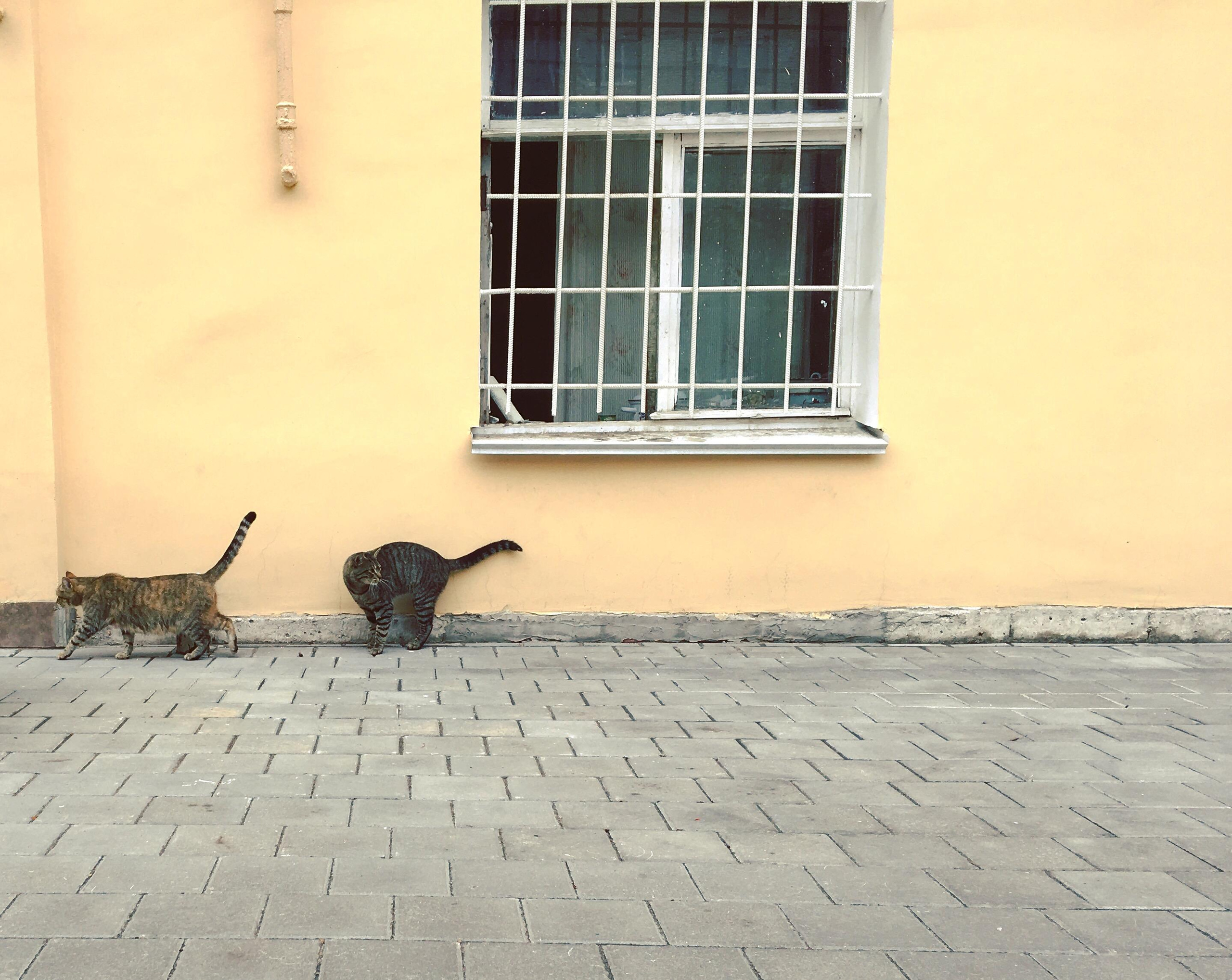 #мелкийжемчуг. Ольга Шкотова документальный фотограф