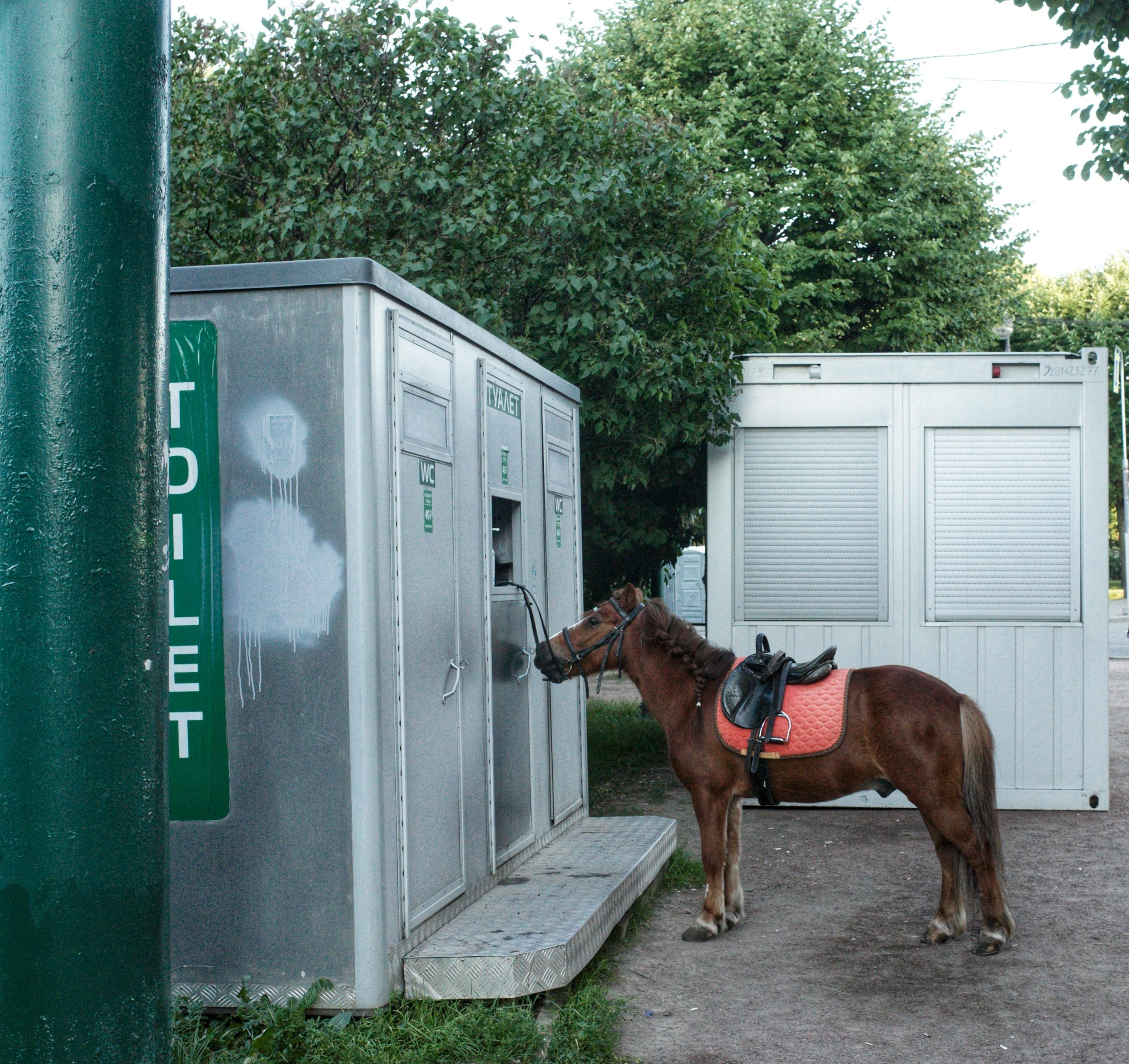 #мелкийжемчуг. Ольга Шкотова документальный фотограф