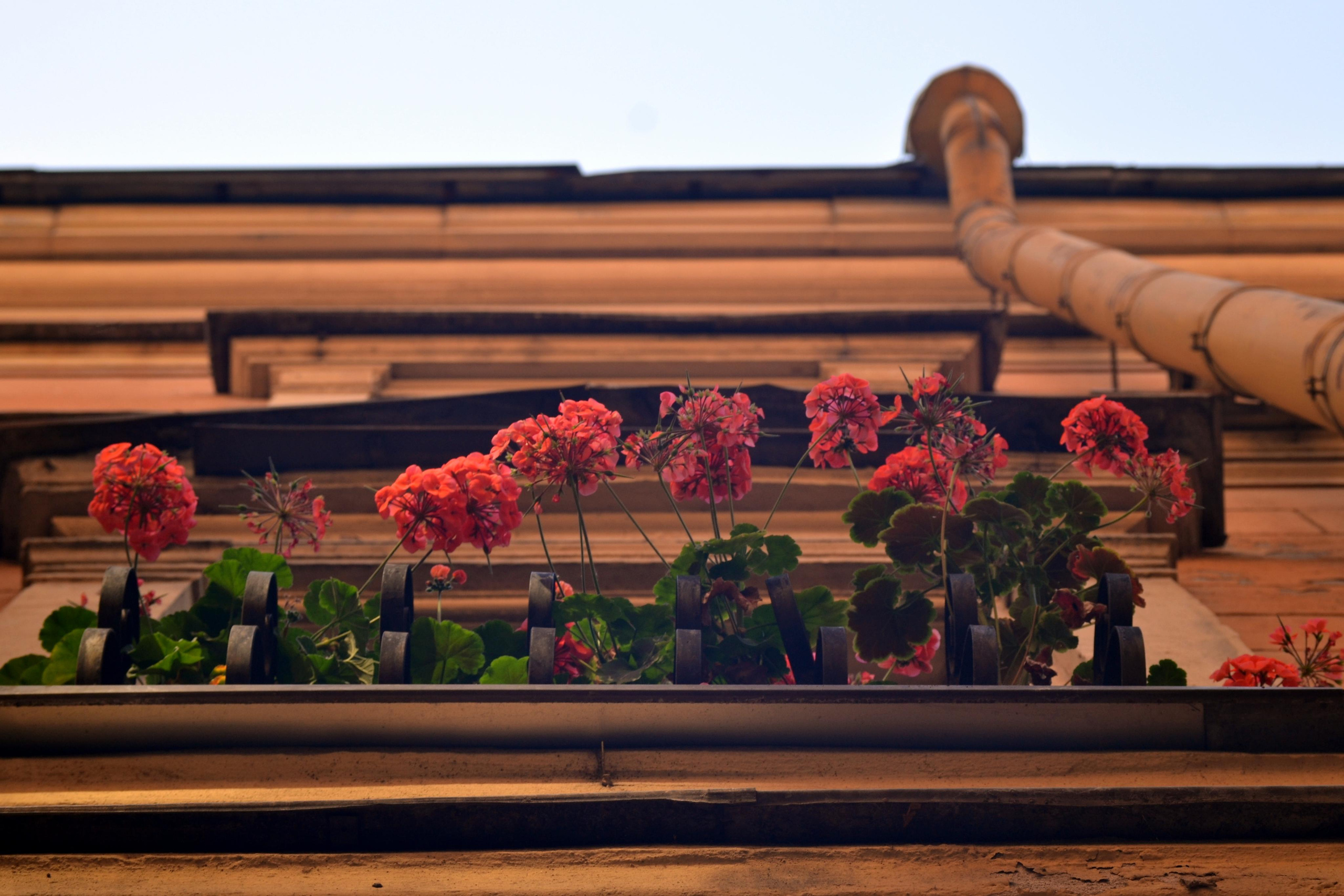 #мелкийжемчуг. Ольга Шкотова документальный фотограф