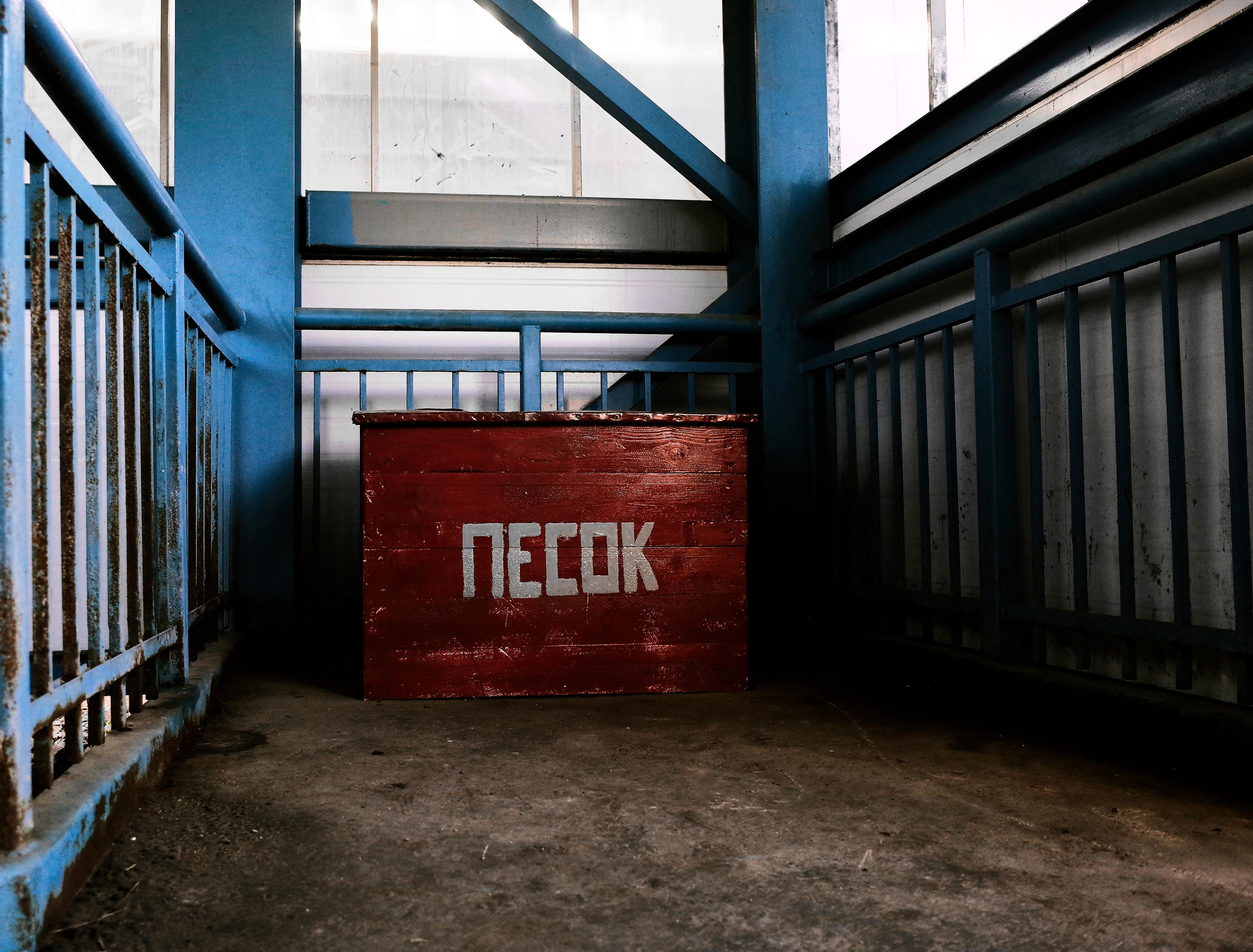 #мелкийжемчуг. Ольга Шкотова документальный фотограф