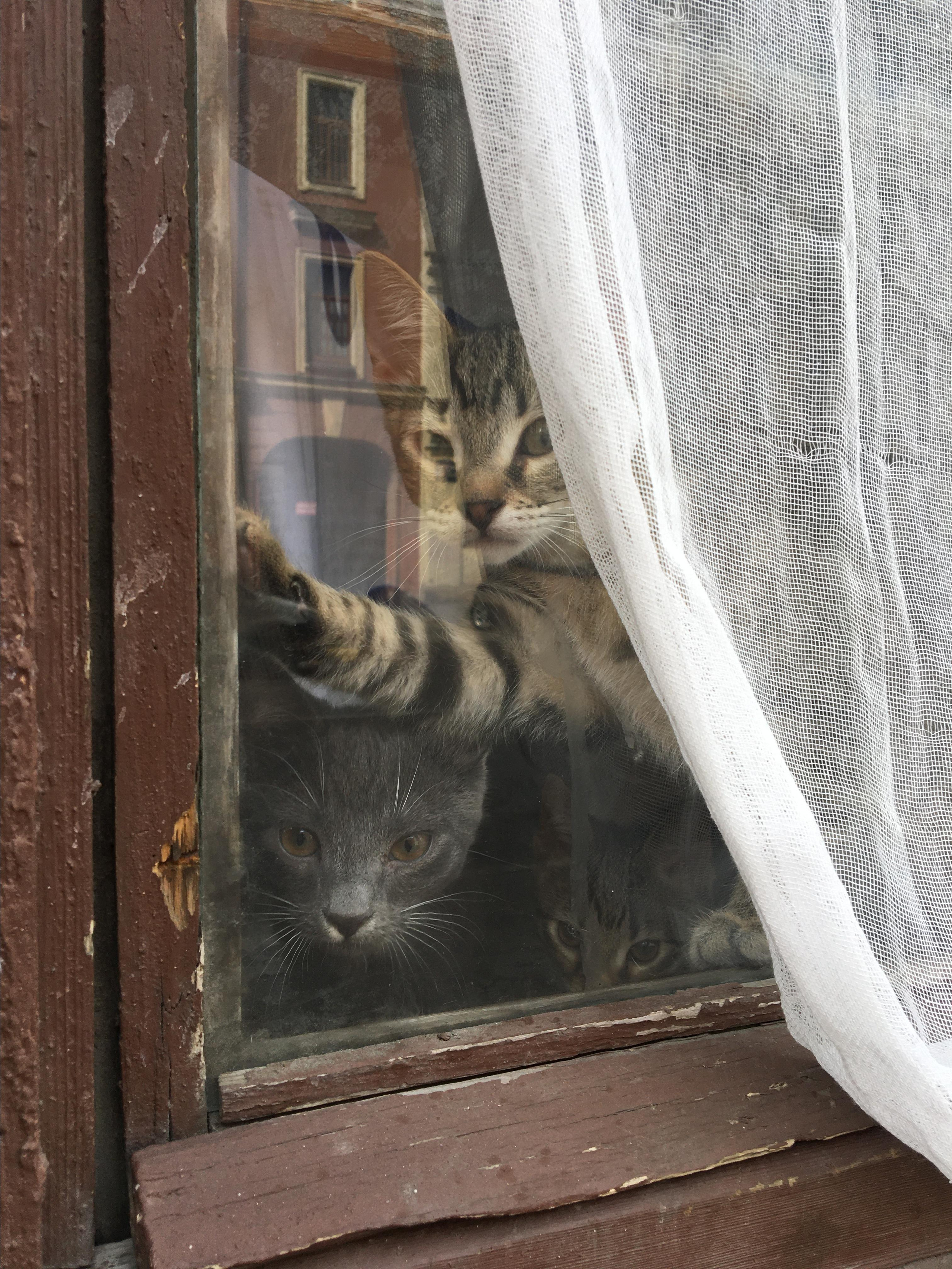 #мелкийжемчуг. Ольга Шкотова документальный фотограф