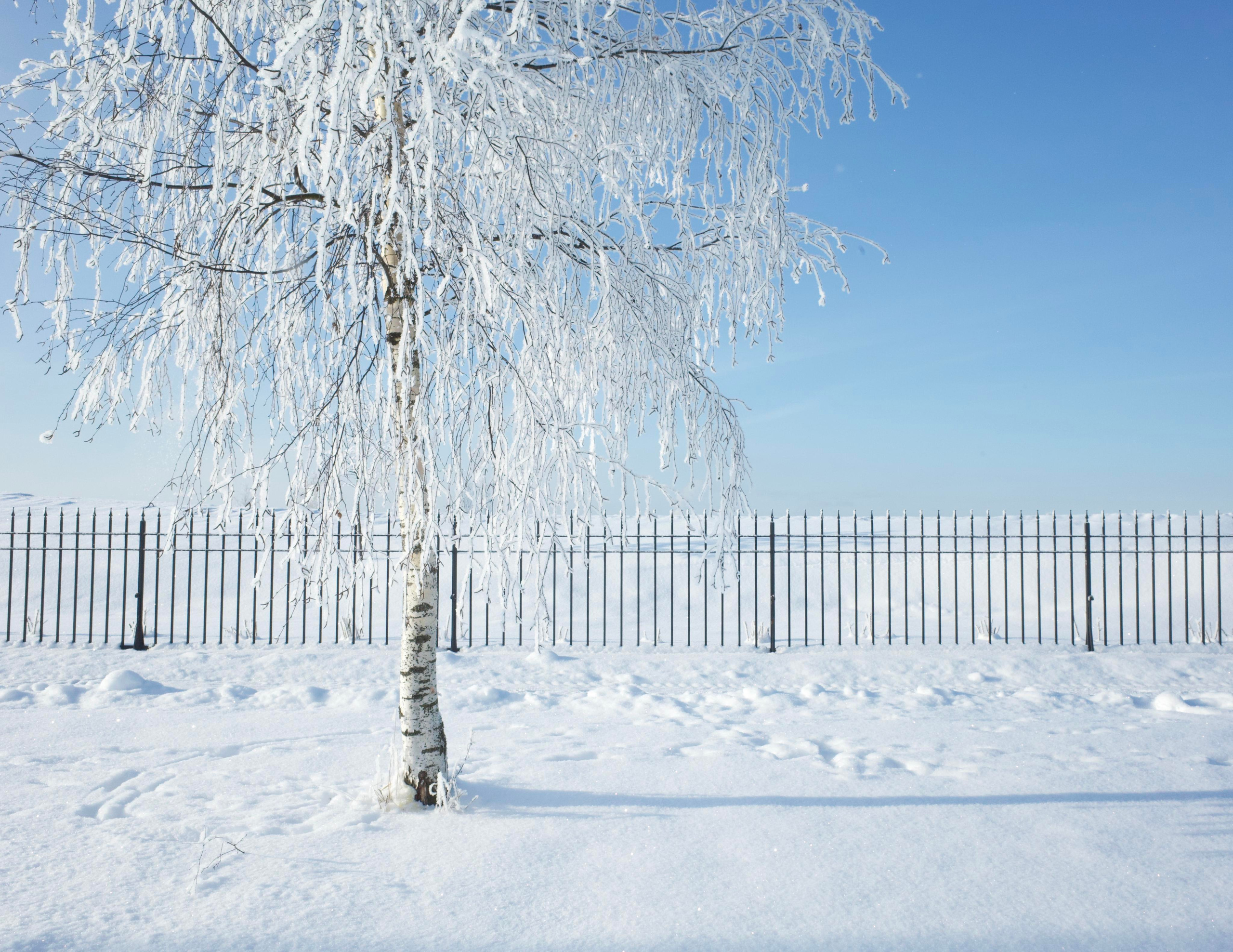 #мелкийжемчуг. Ольга Шкотова документальный фотограф