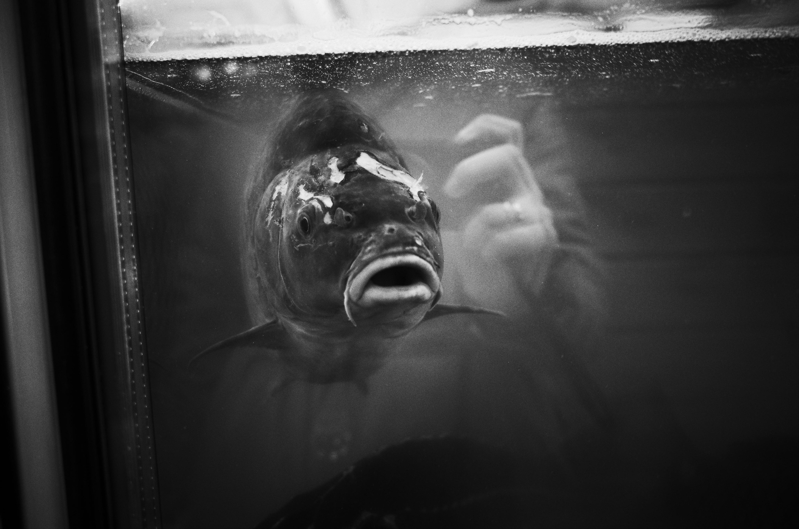 Личный дневник. Ольга Шкотова документальный фотограф