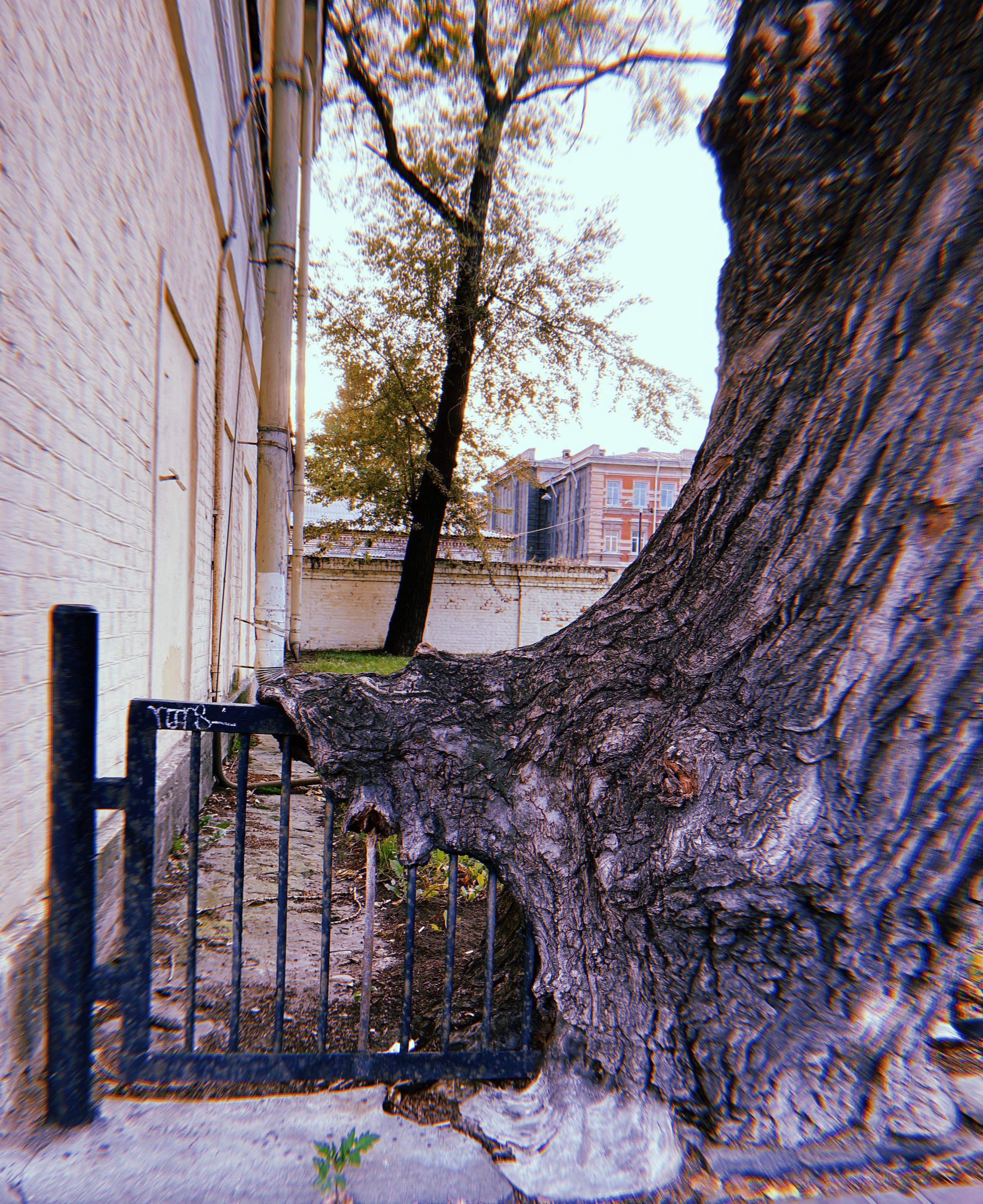 #мелкийжемчуг. Ольга Шкотова документальный фотограф