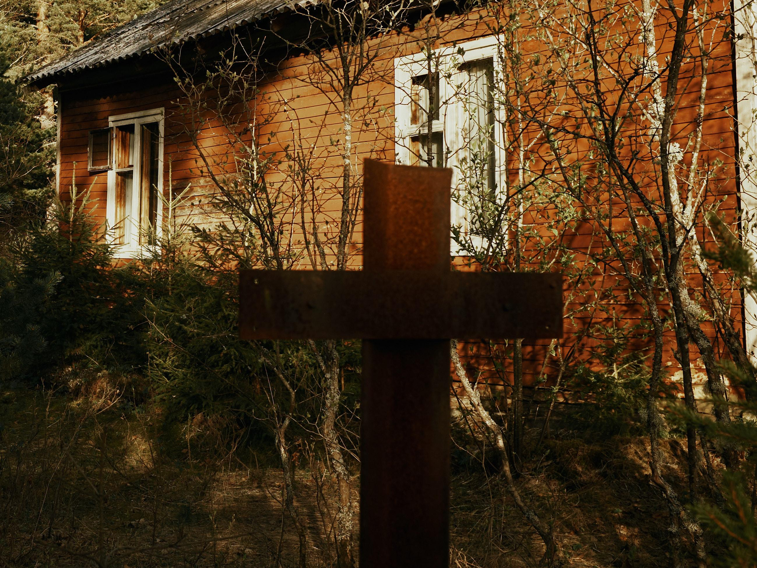 Ящера. Ольга Шкотова документальный фотограф