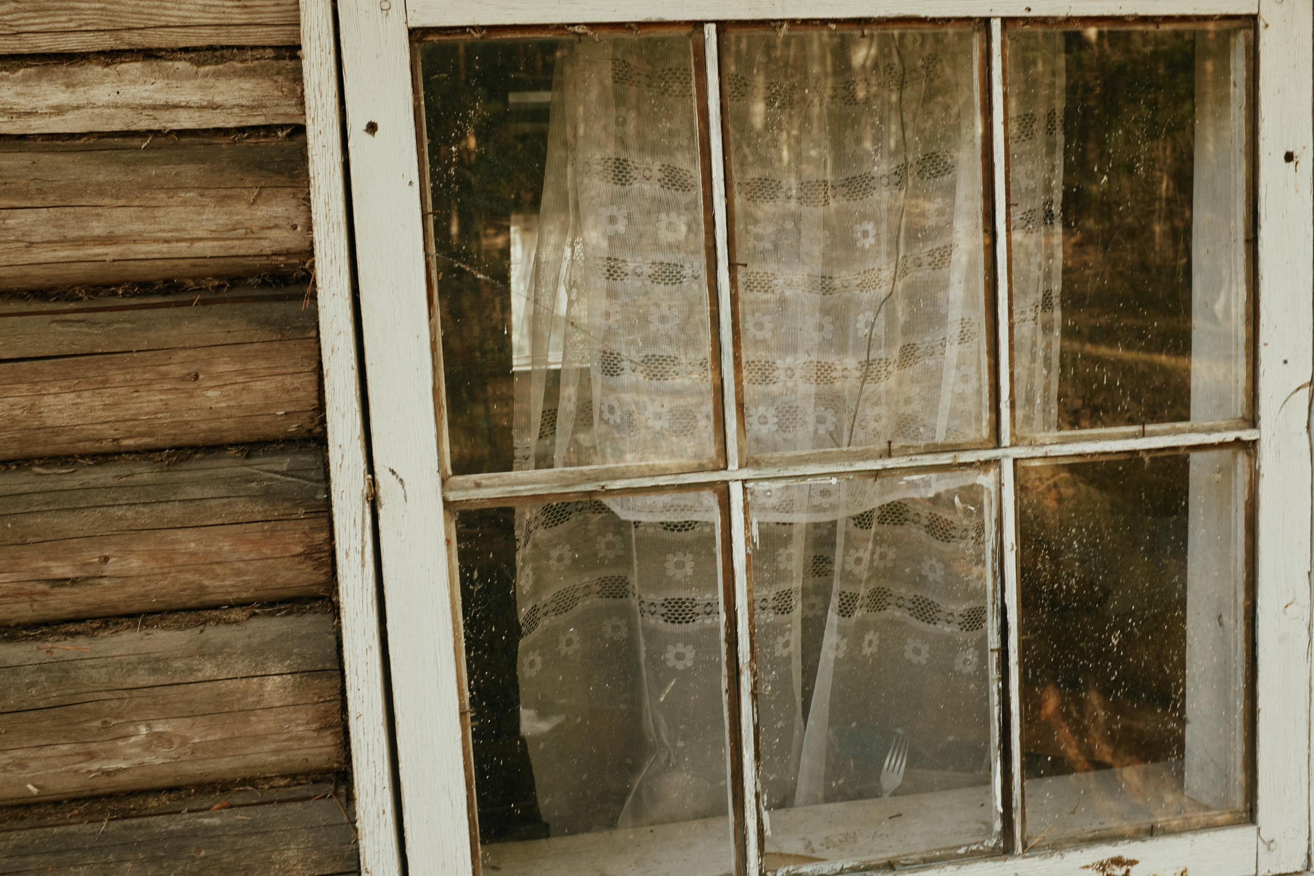 Ящера. Ольга Шкотова документальный фотограф