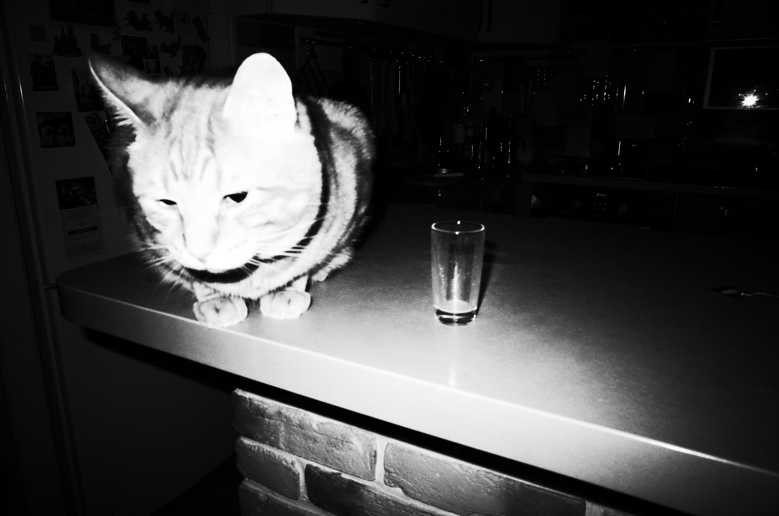 Личный дневник. Ольга Шкотова документальный фотограф