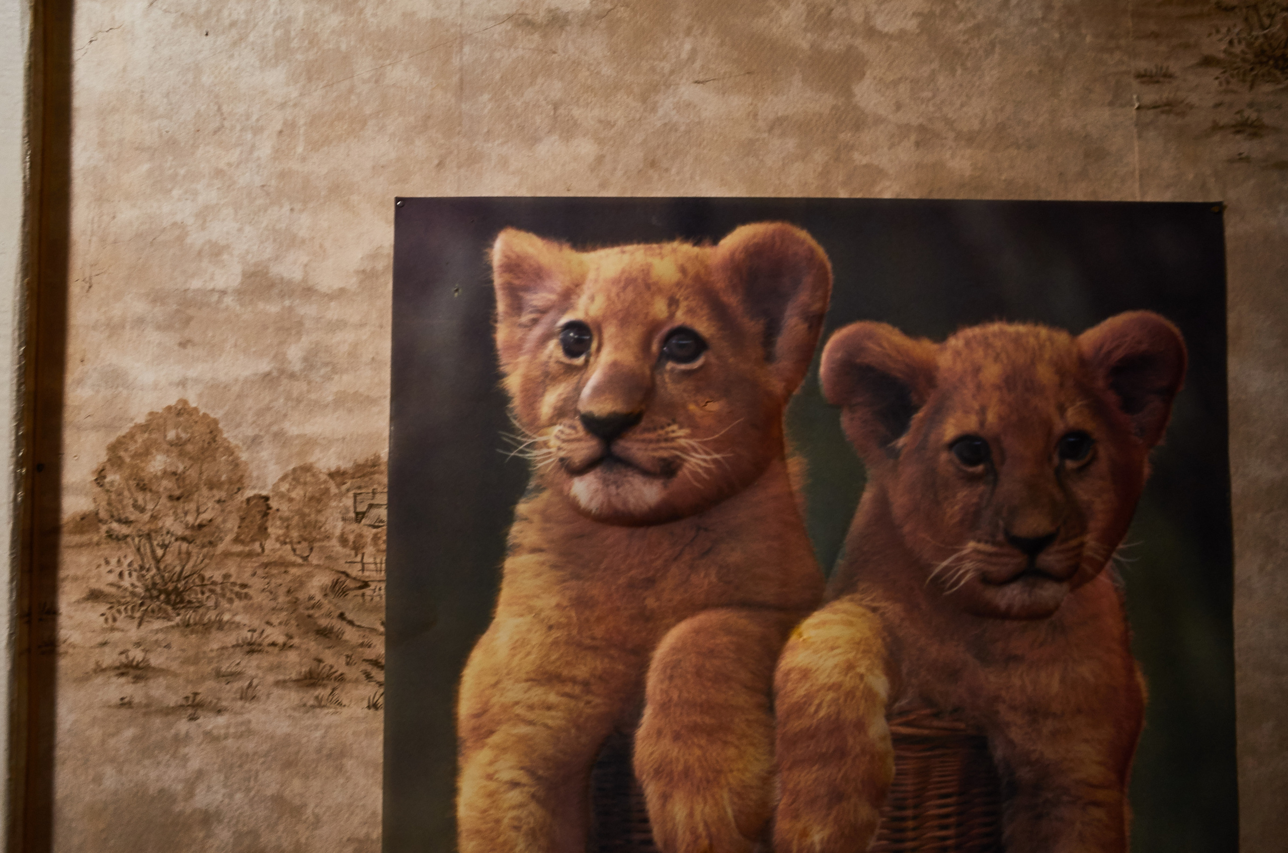 Старая квартира. Ольга Шкотова документальный фотограф