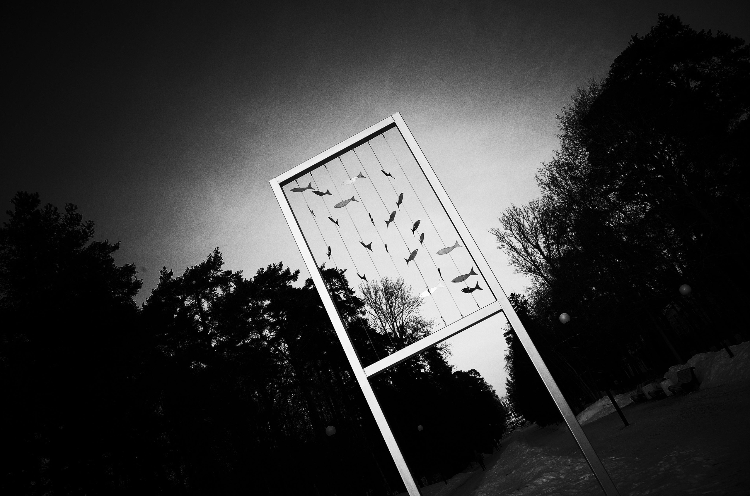 Личный дневник. Ольга Шкотова документальный фотограф