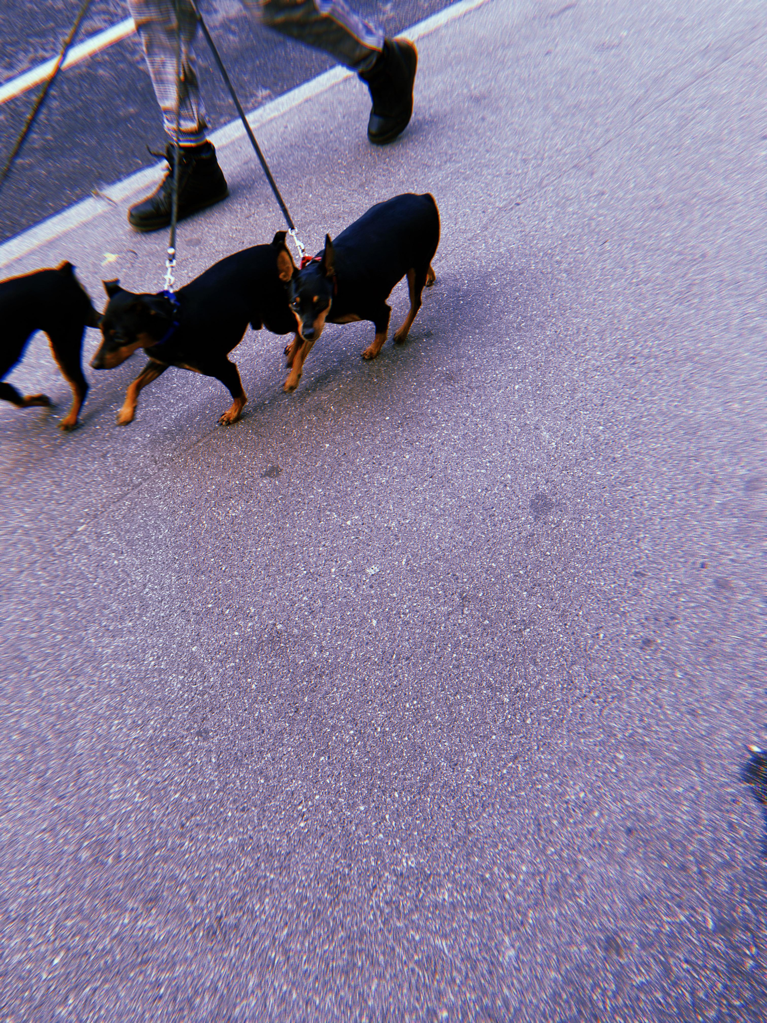 #мелкийжемчуг. Ольга Шкотова документальный фотограф