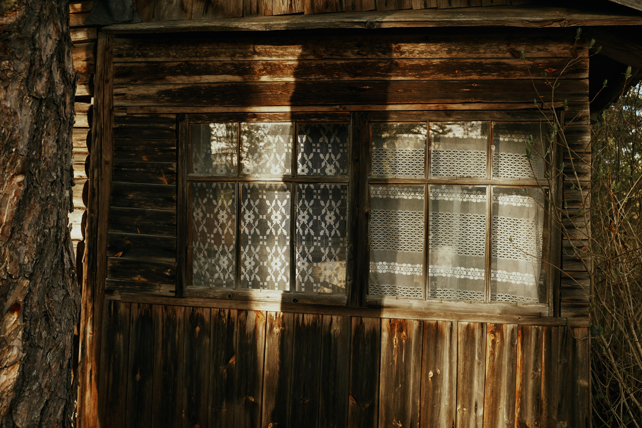 Ящера. Ольга Шкотова документальный фотограф