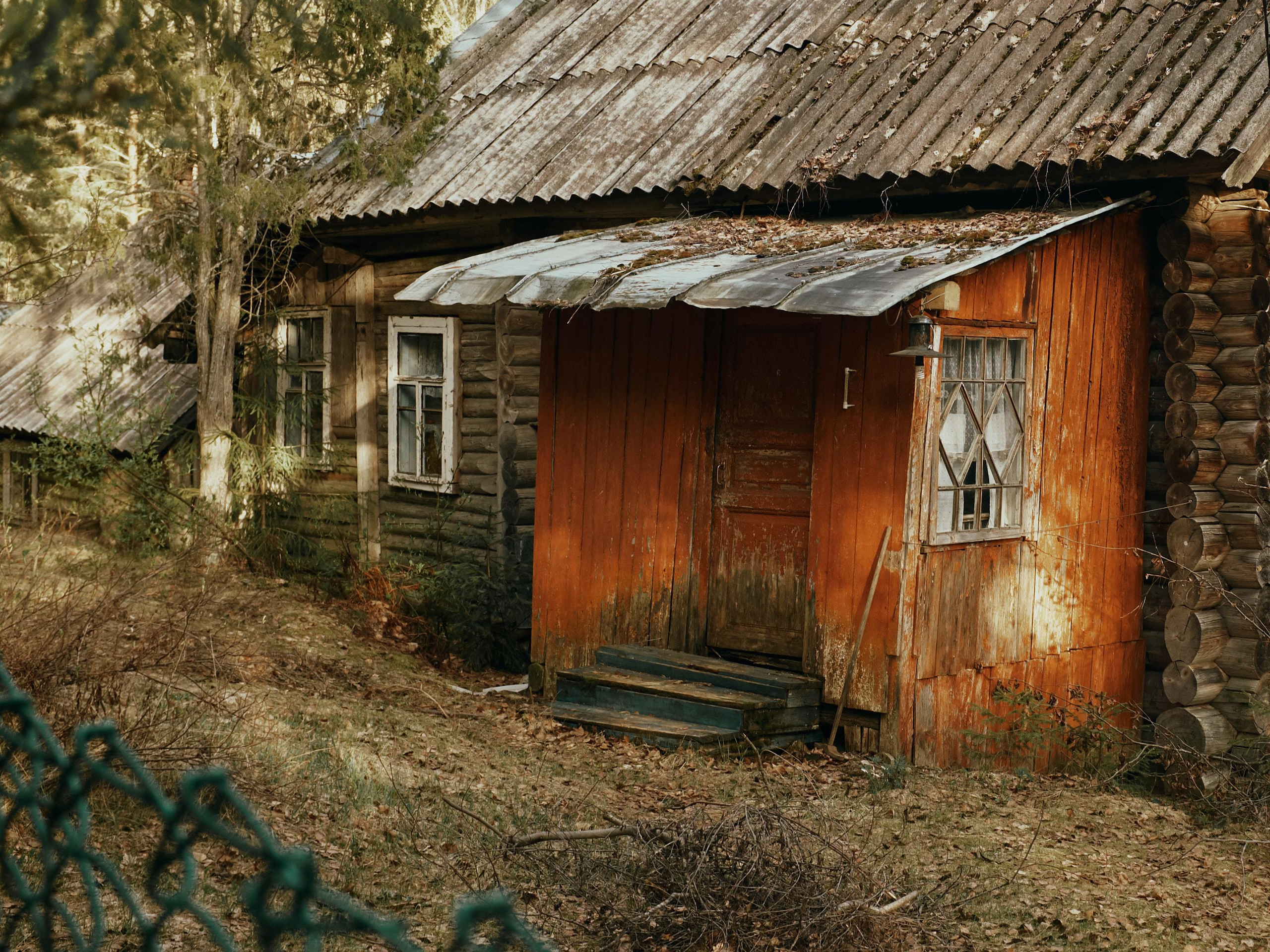 Ящера. Ольга Шкотова документальный фотограф