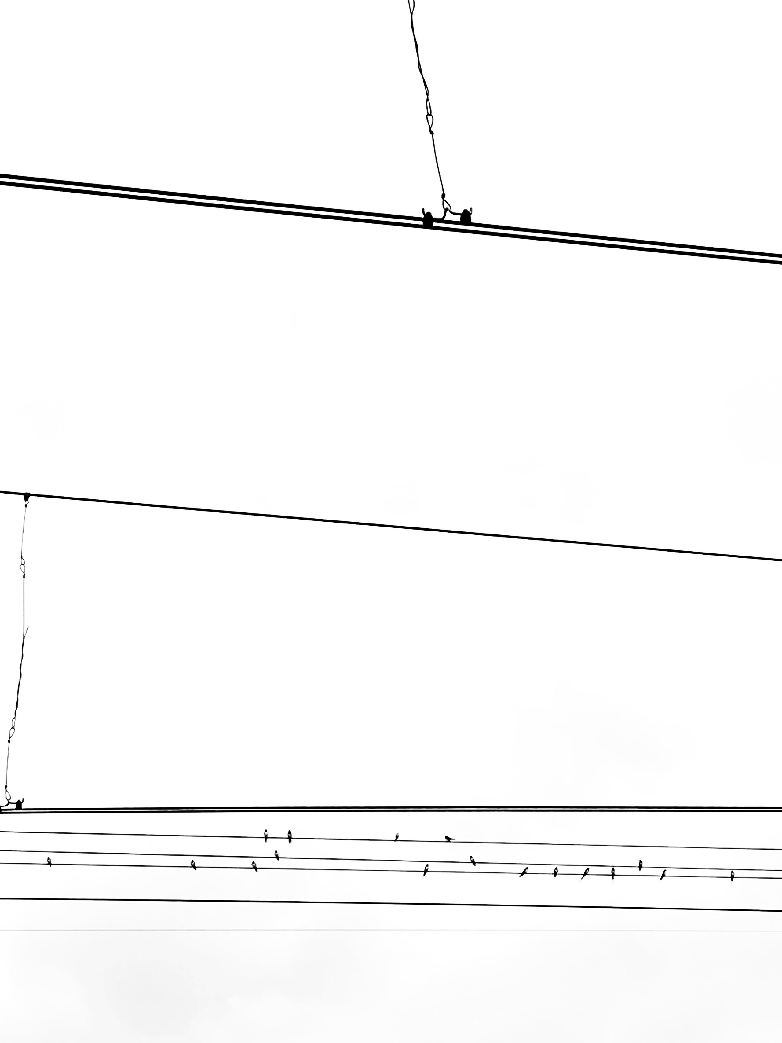 #мелкийжемчуг. Ольга Шкотова документальный фотограф