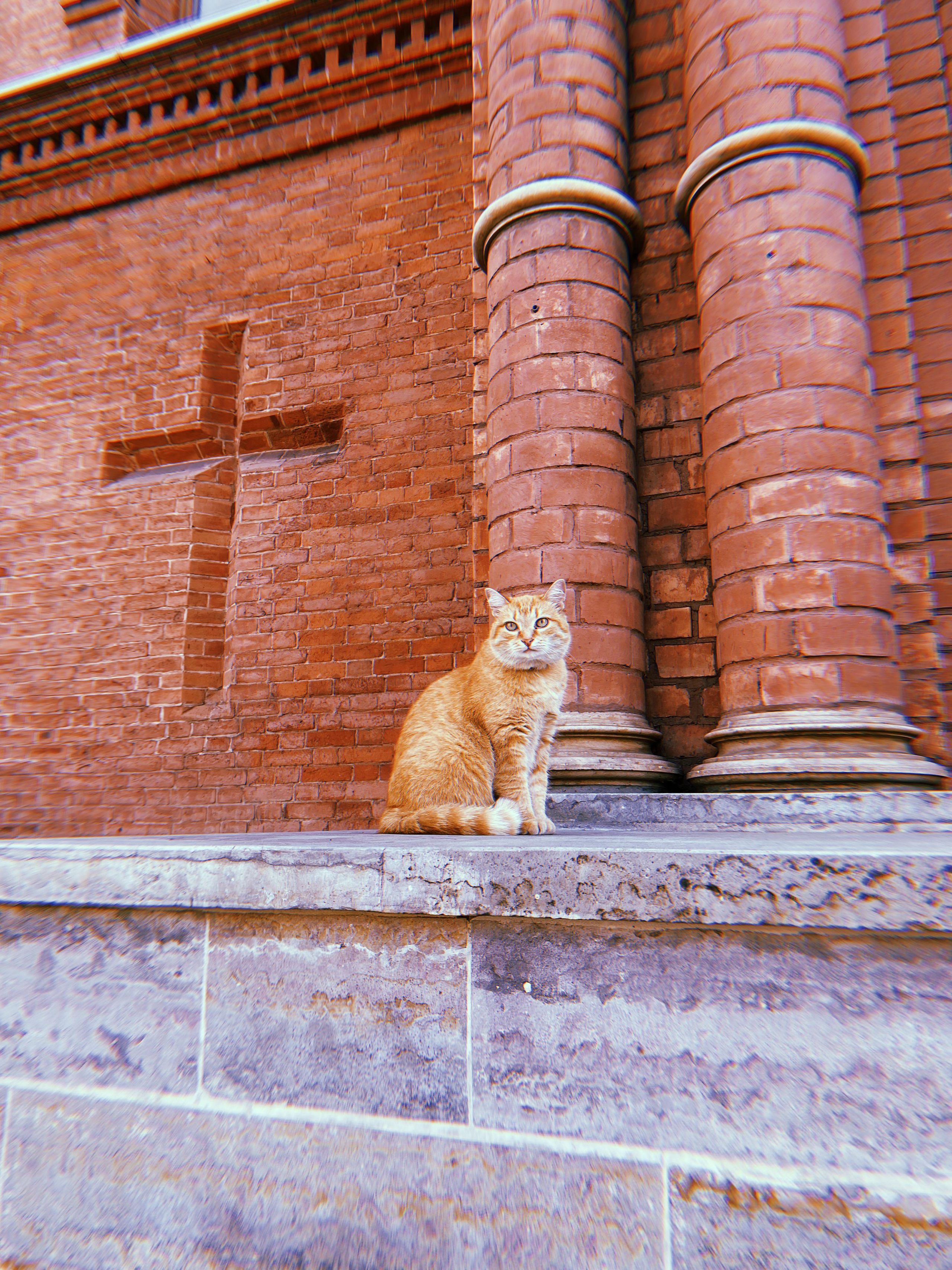 #мелкийжемчуг. Ольга Шкотова документальный фотограф