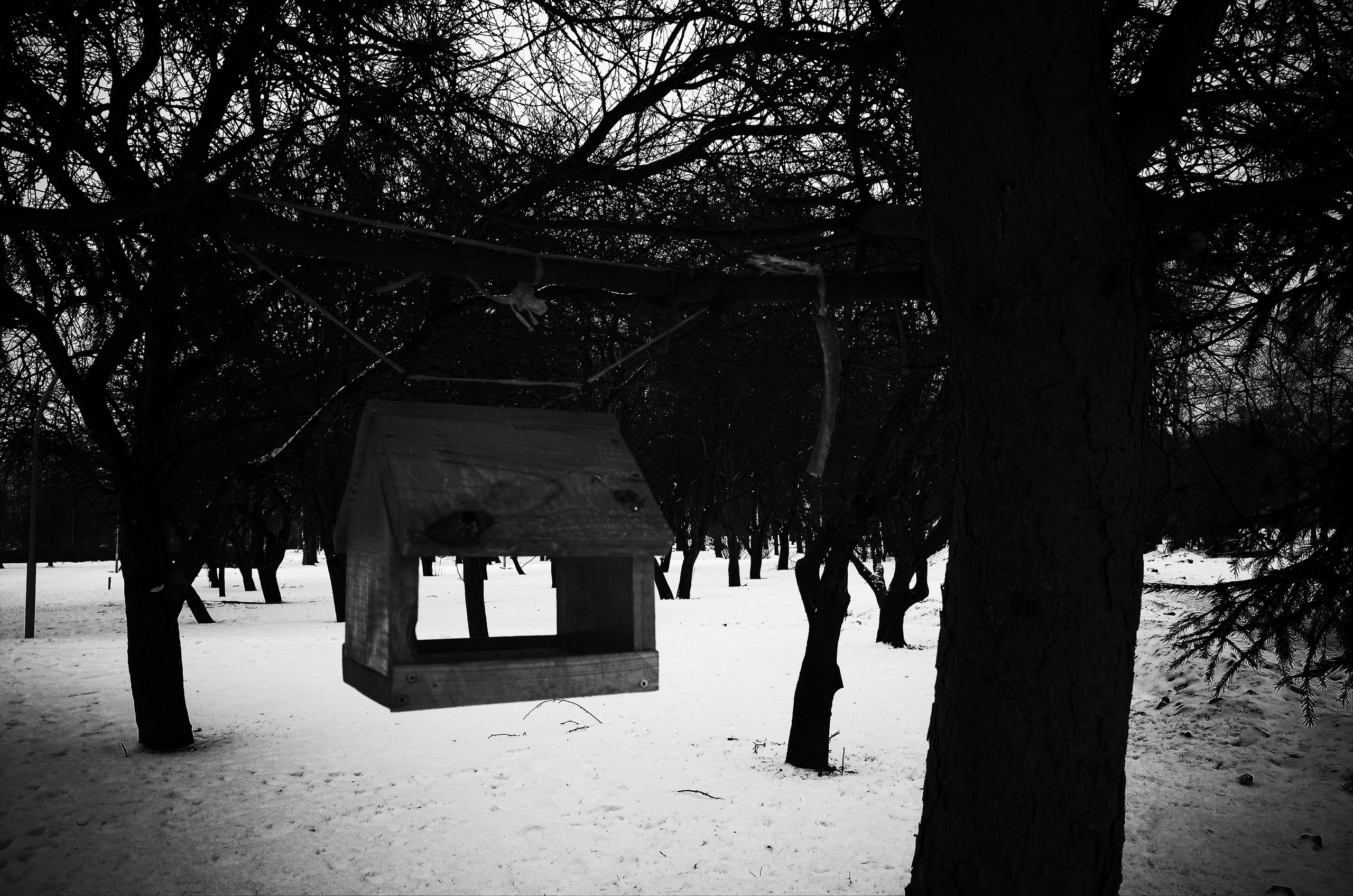 Личный дневник. Ольга Шкотова документальный фотограф