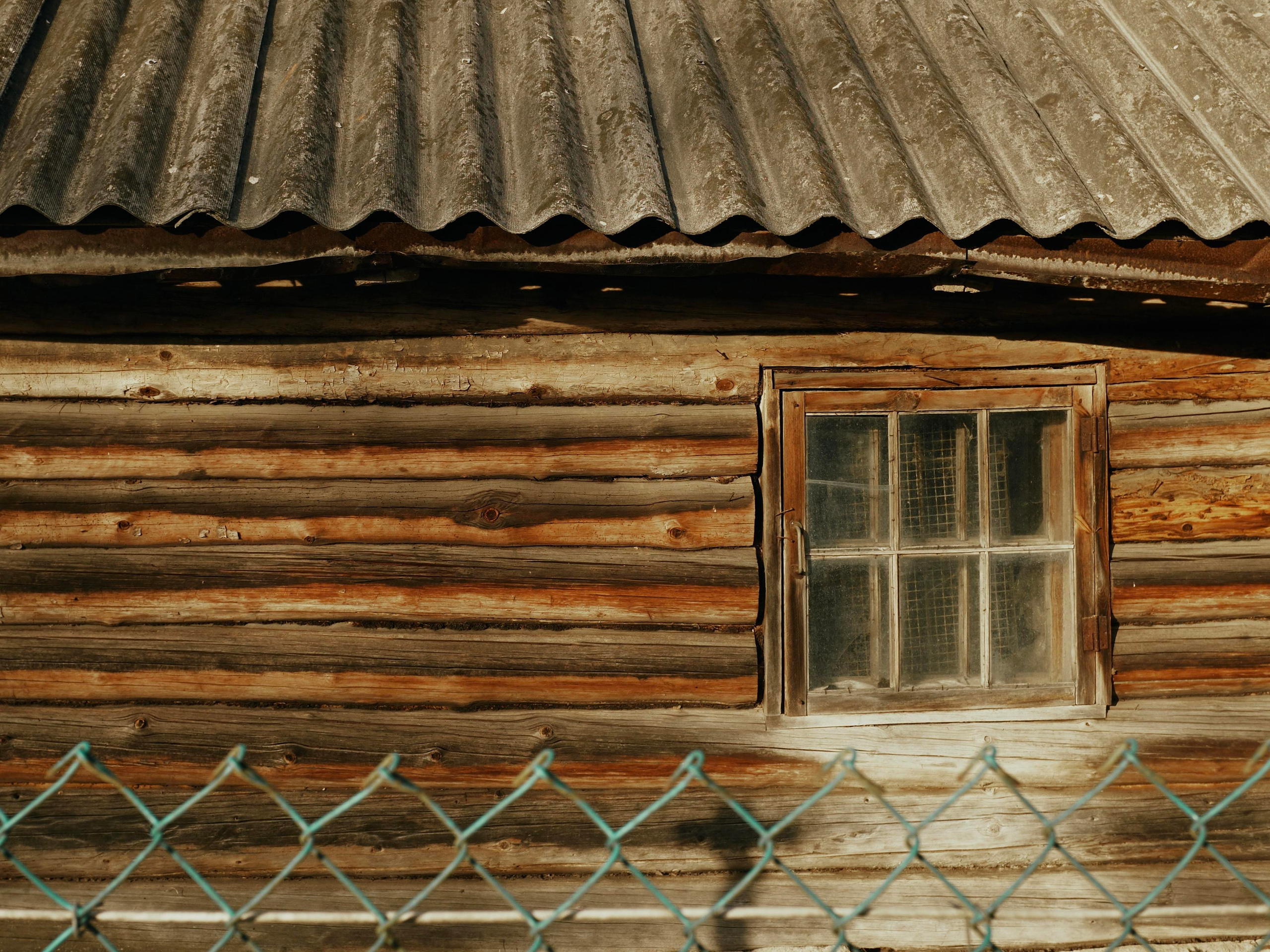 Ящера. Ольга Шкотова документальный фотограф