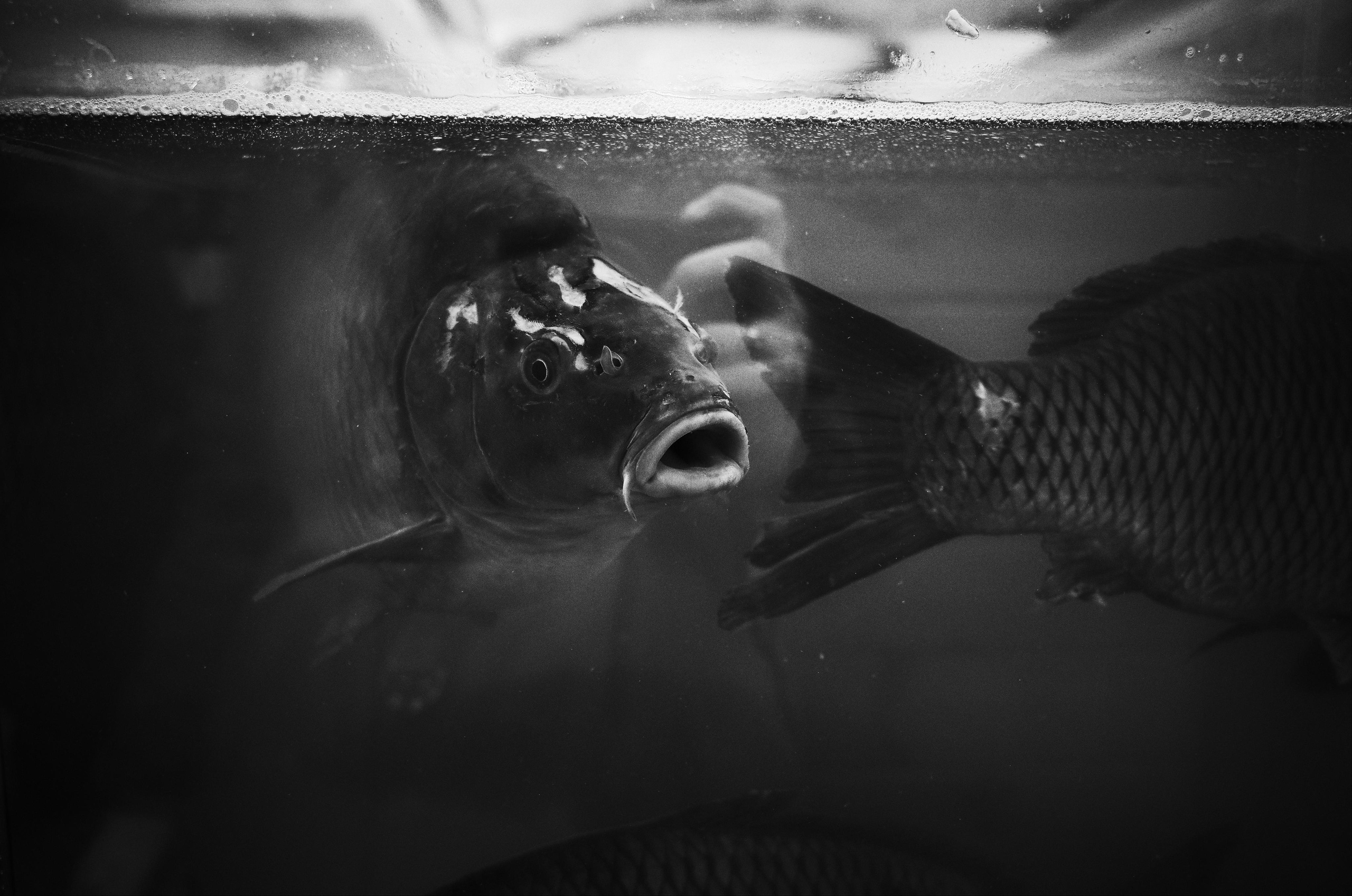 Личный дневник. Ольга Шкотова документальный фотограф