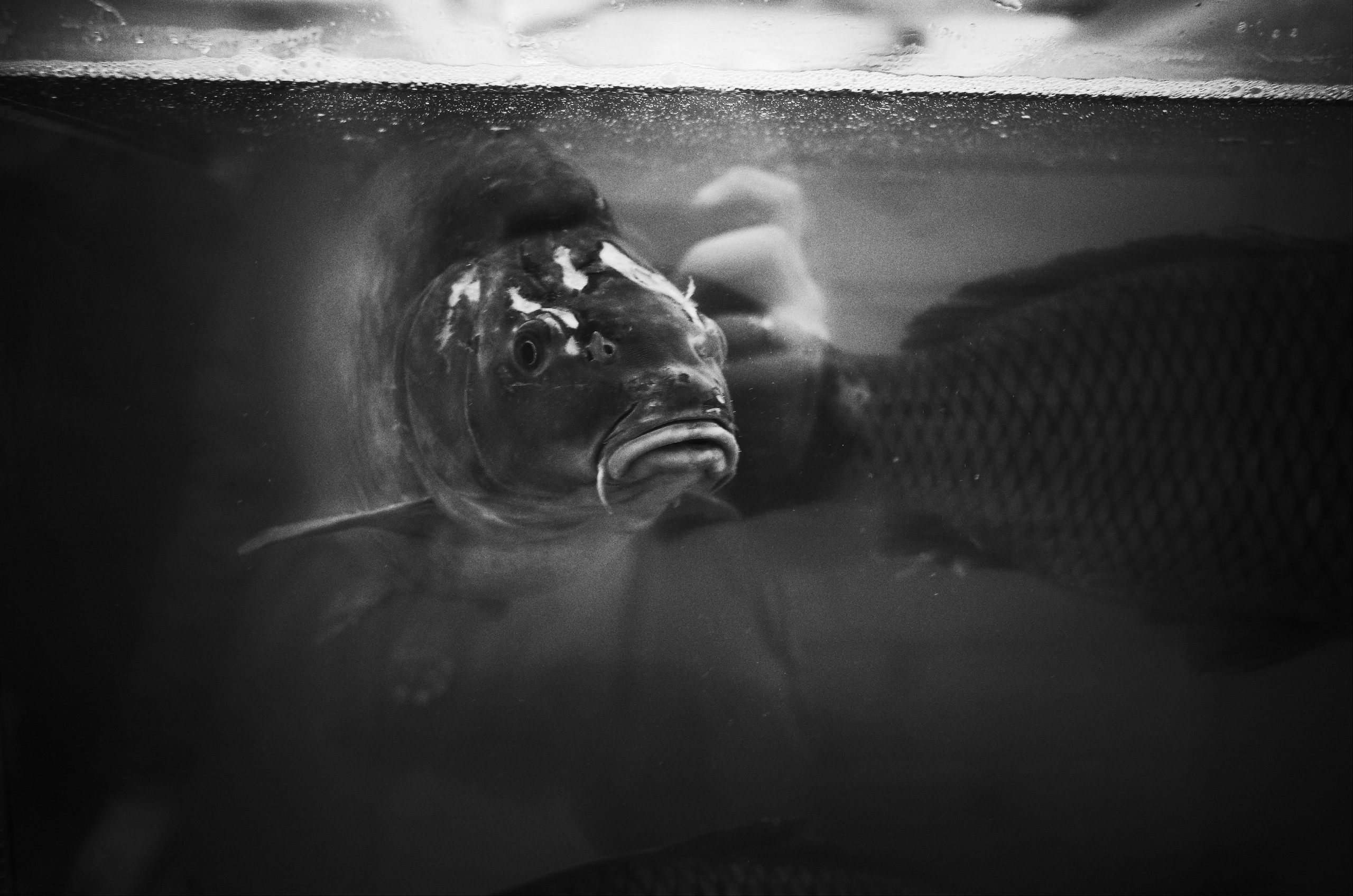 Личный дневник. Ольга Шкотова документальный фотограф