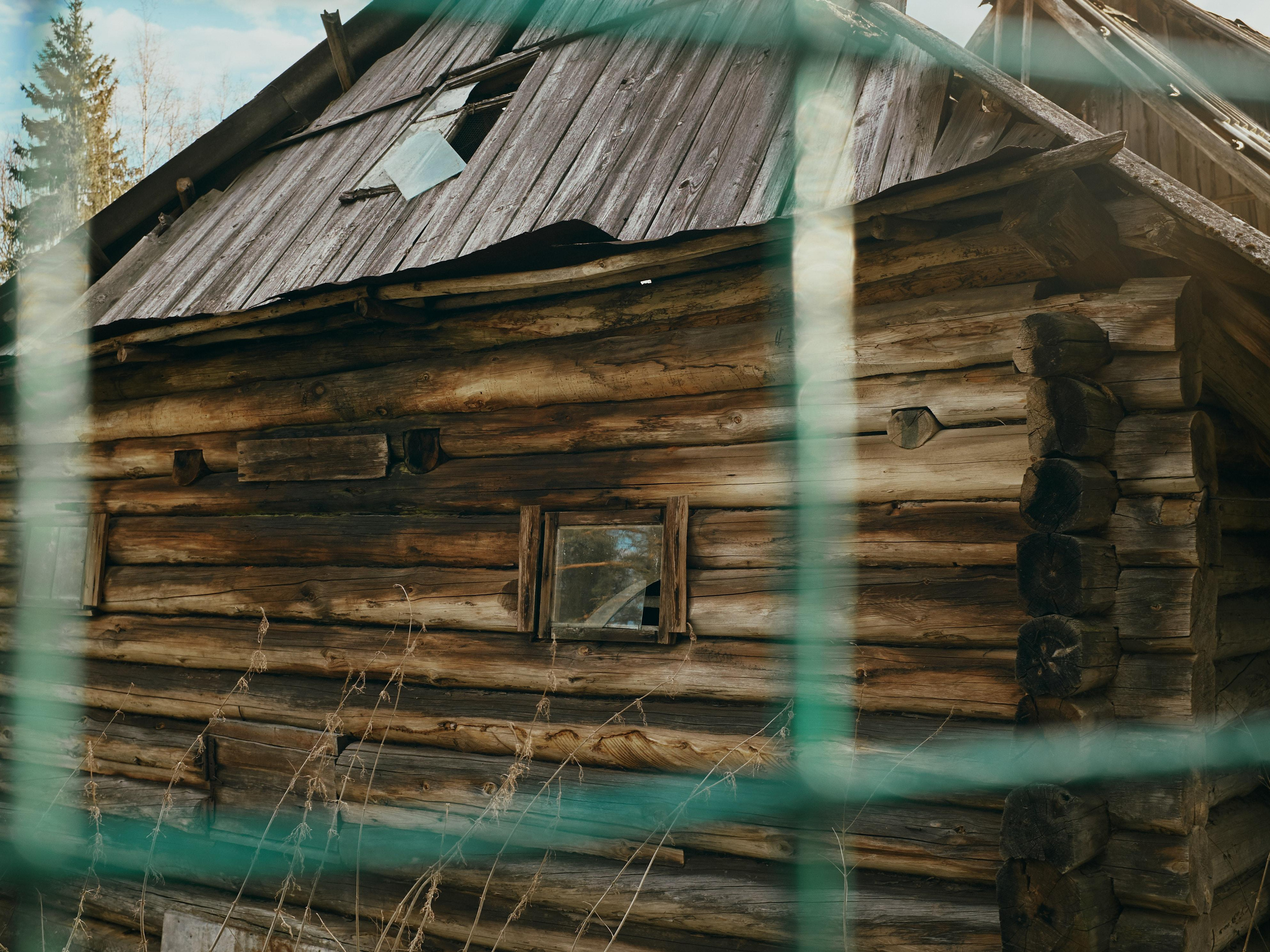 Ящера. Ольга Шкотова документальный фотограф