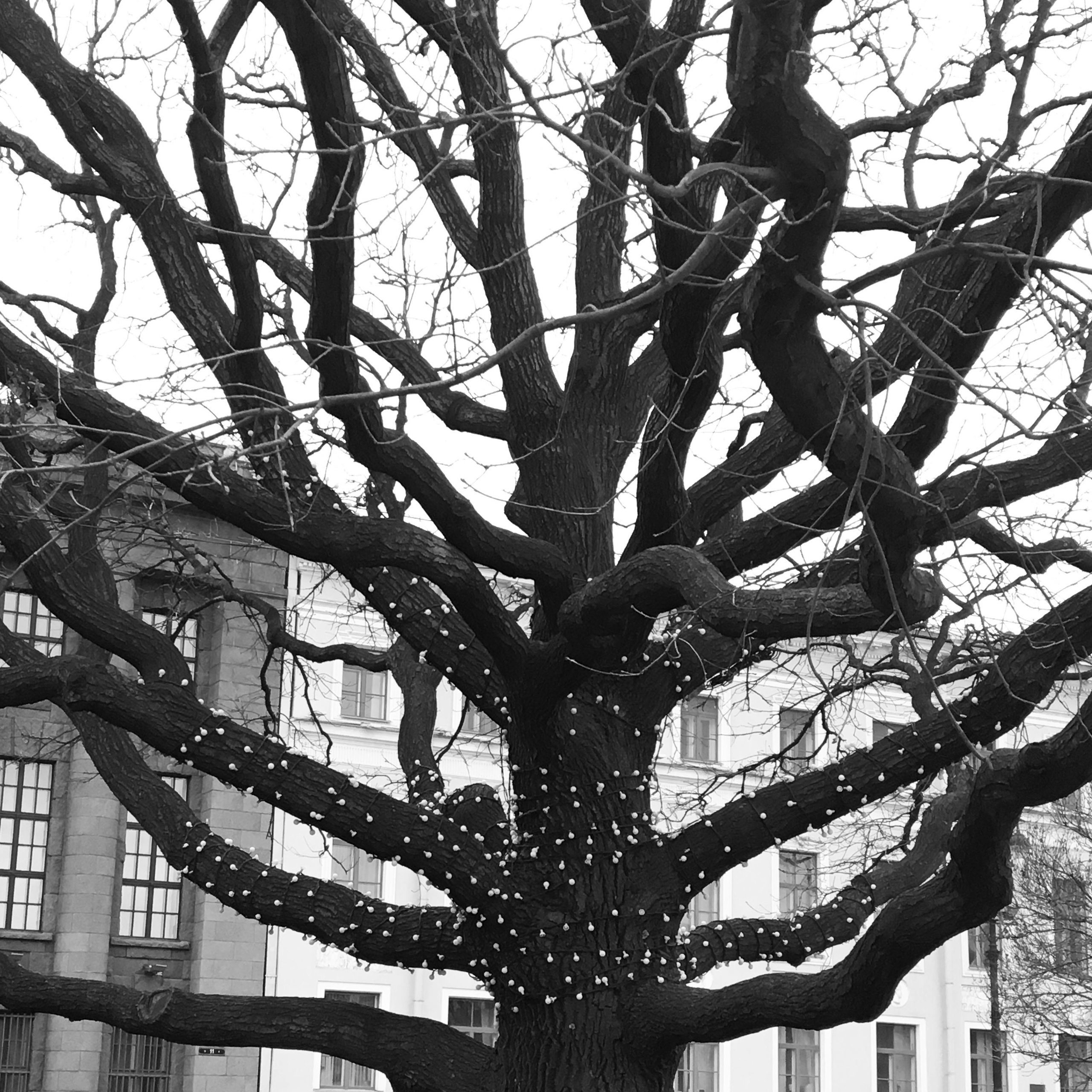 #мелкийжемчуг. Ольга Шкотова документальный фотограф