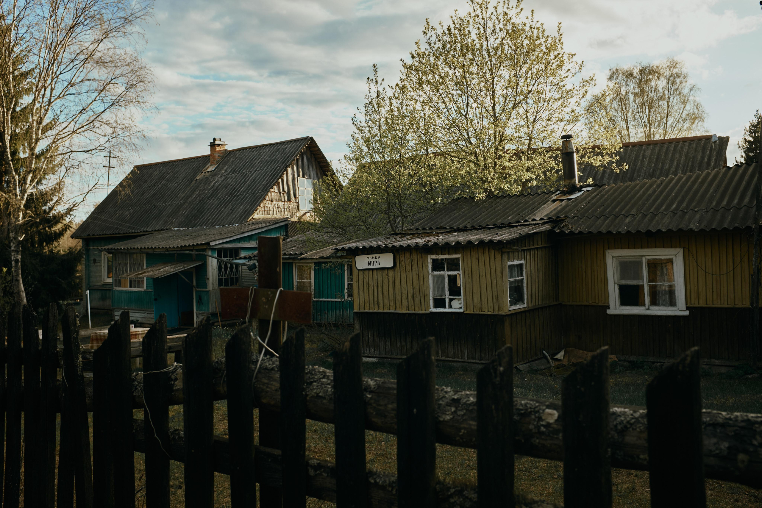 Ящера. Ольга Шкотова документальный фотограф