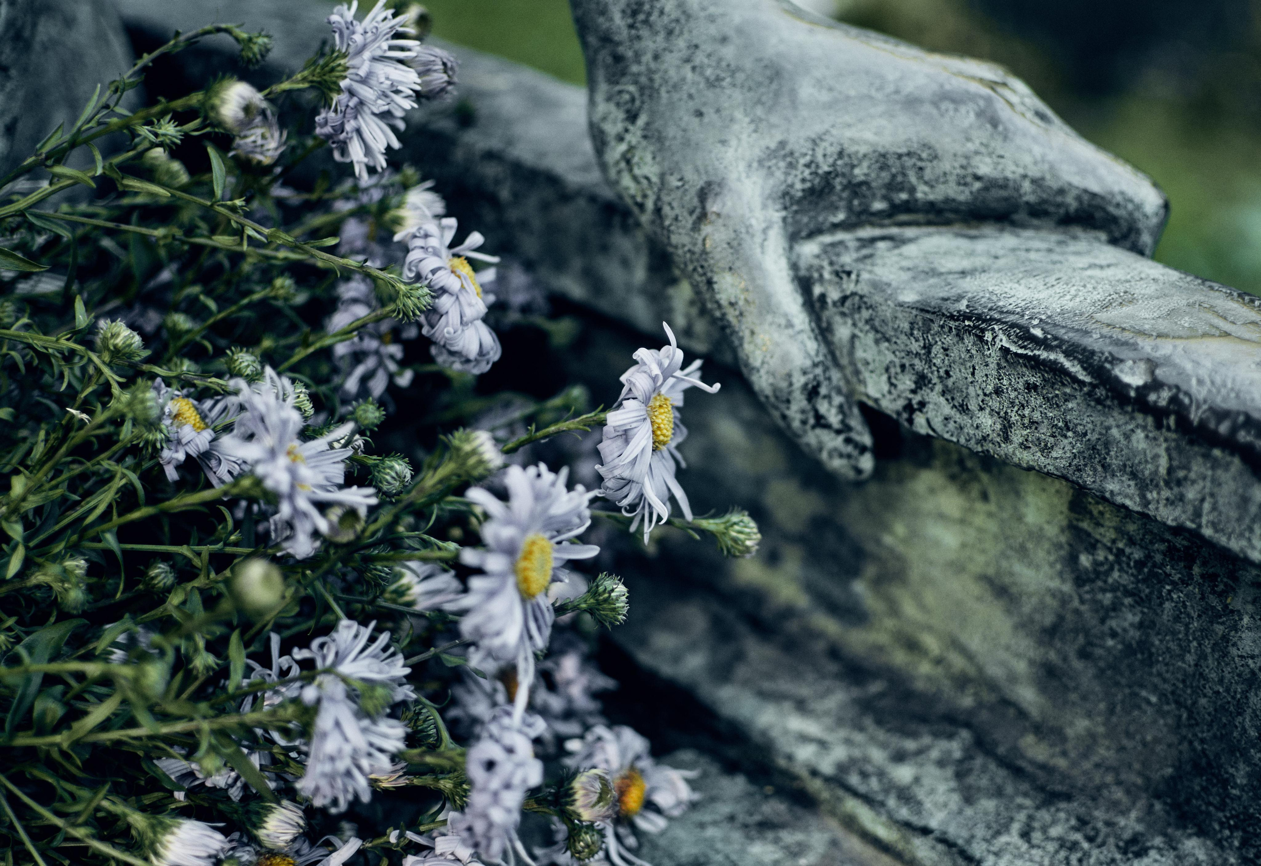 #мелкийжемчуг. Ольга Шкотова документальный фотограф