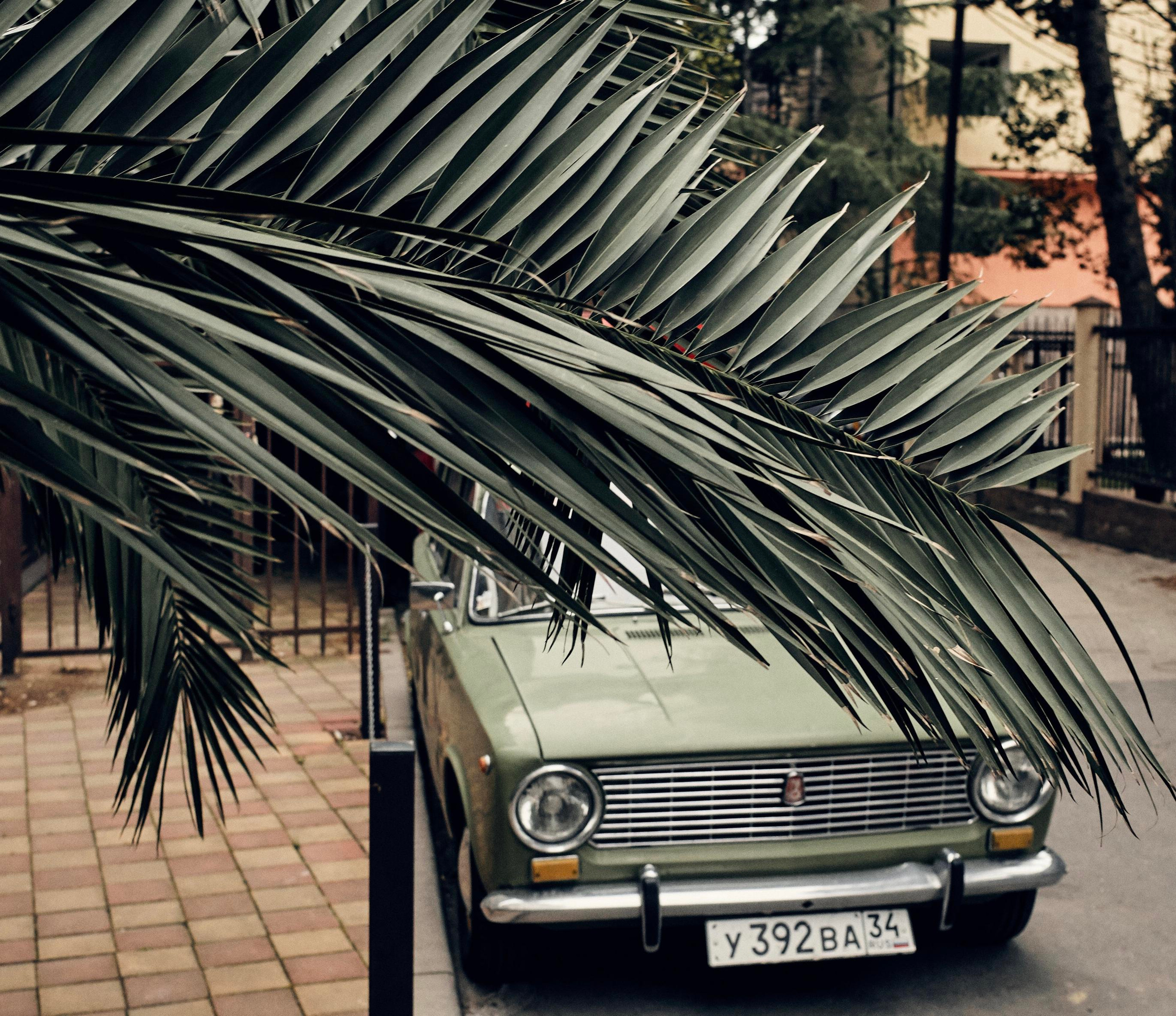 #мелкийжемчуг. Ольга Шкотова документальный фотограф