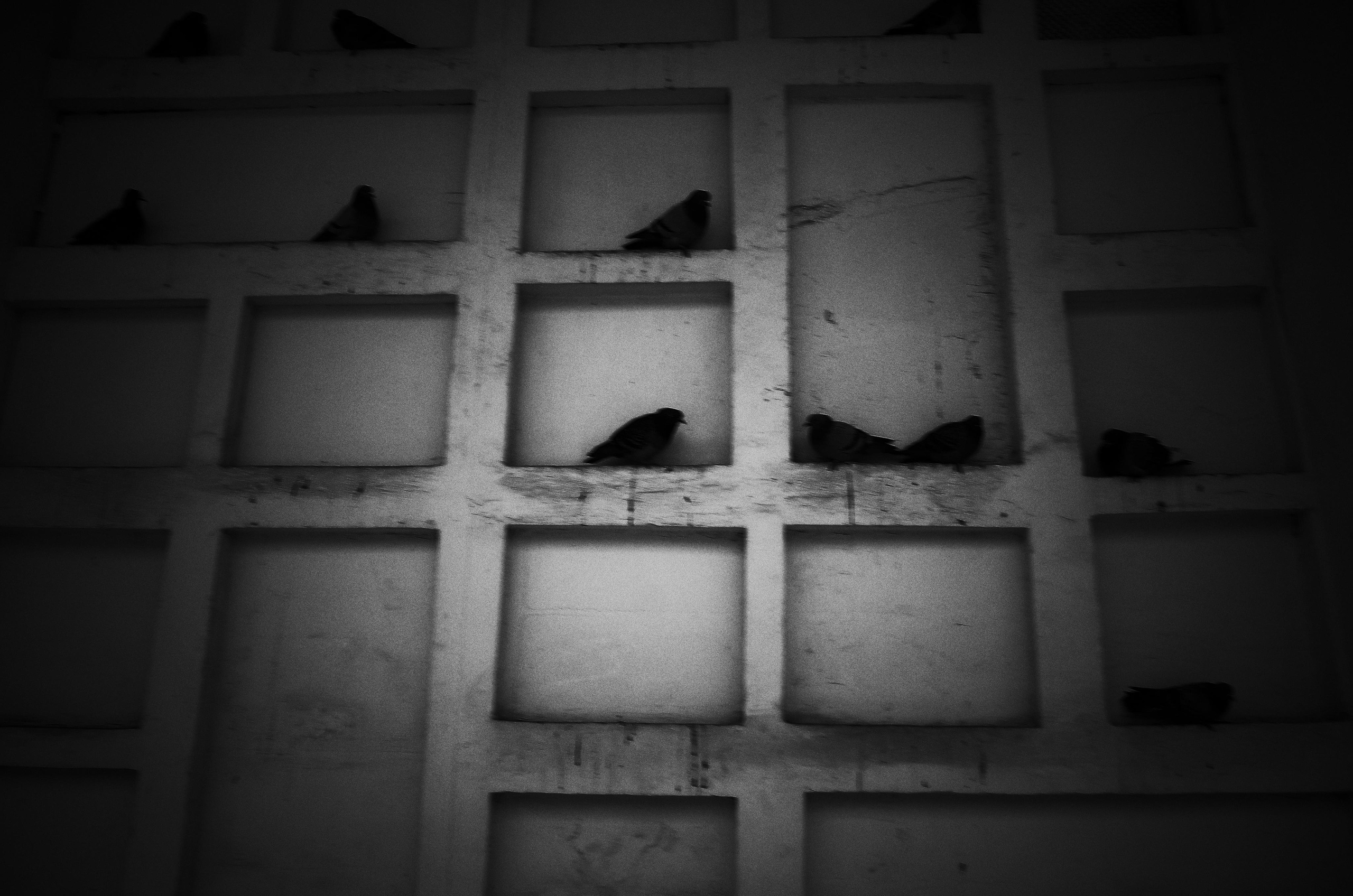 Личный дневник. Ольга Шкотова документальный фотограф