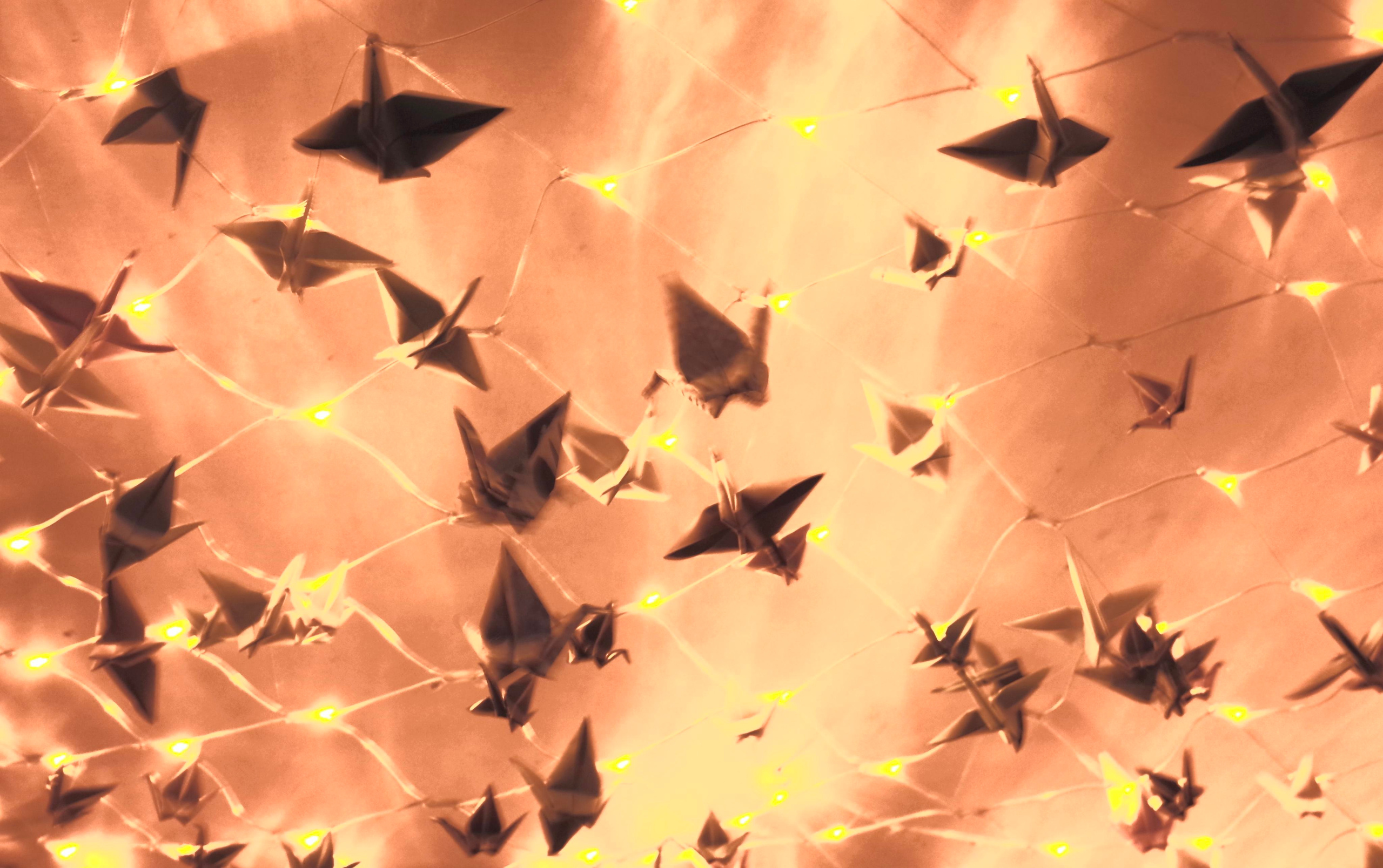 #мелкийжемчуг. Ольга Шкотова документальный фотограф