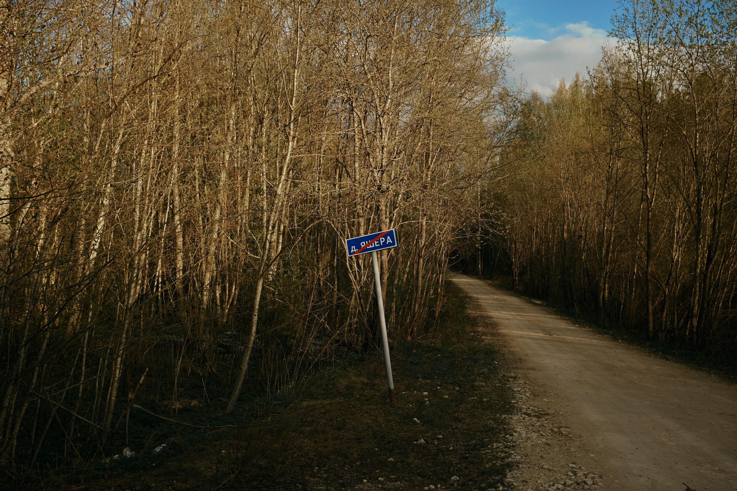 Ящера. Ольга Шкотова документальный фотограф