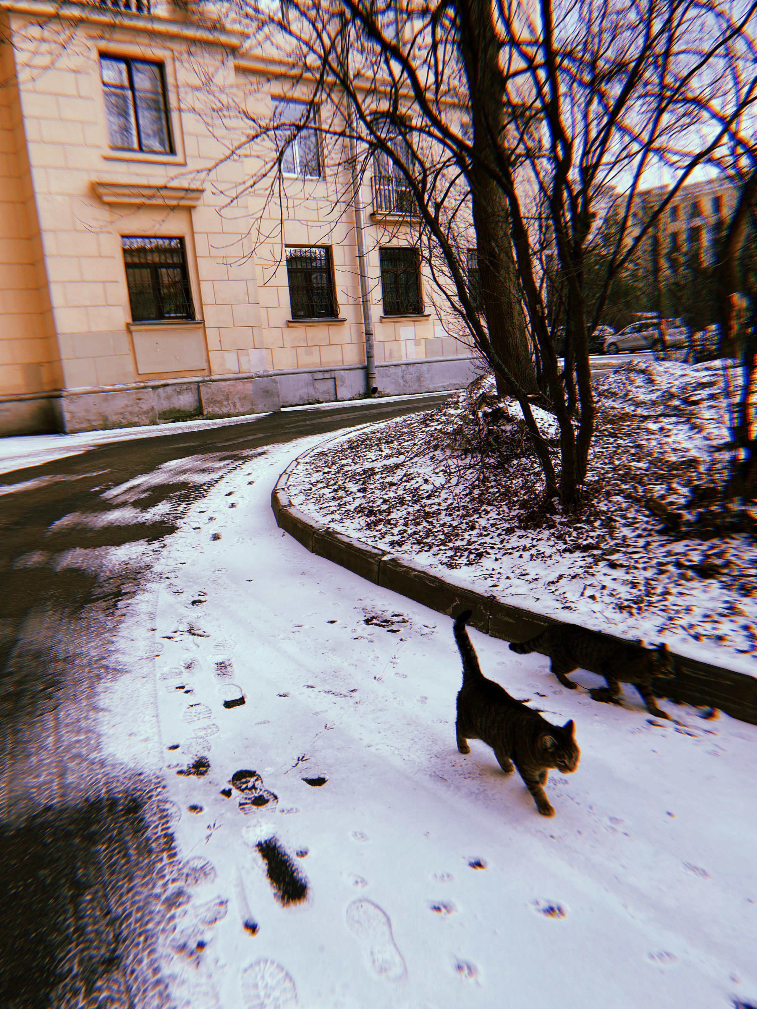 #мелкийжемчуг. Ольга Шкотова документальный фотограф