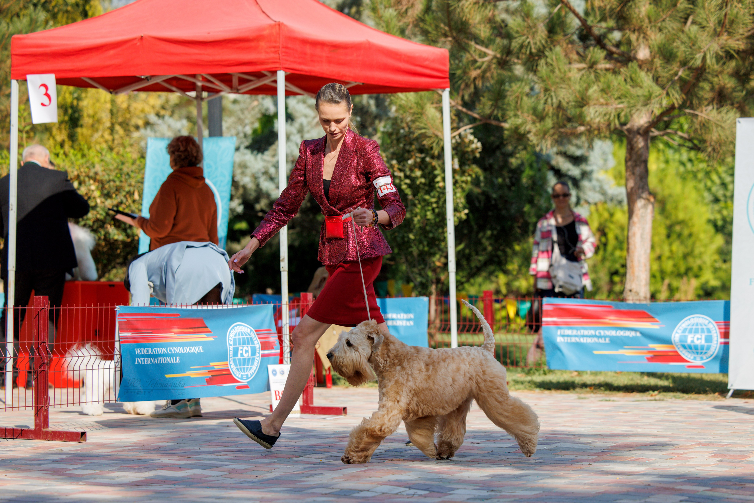Ташкент 3хCACIB 3-5.10.2025. Фотограф-анималист Юлия Германика
