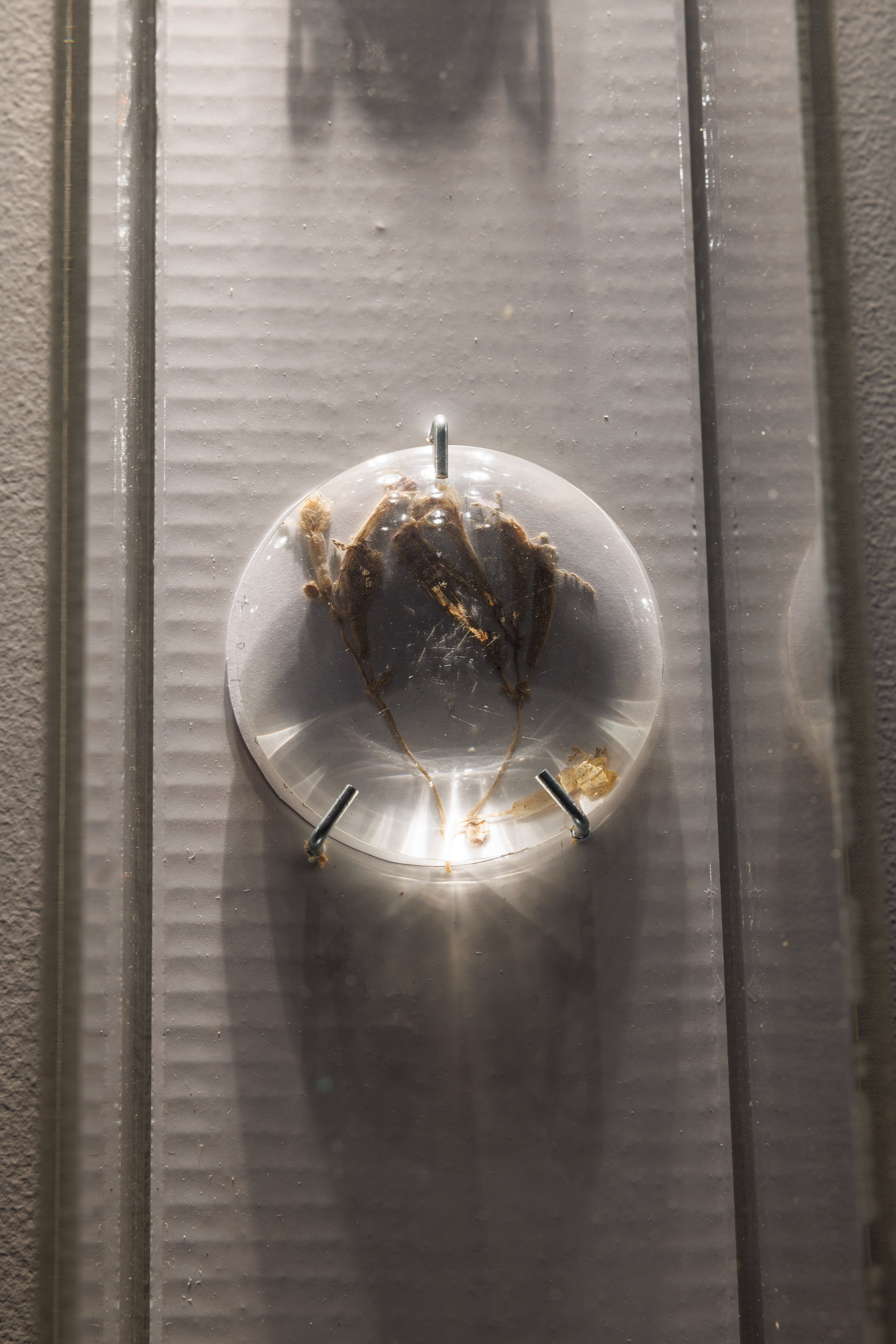 Выставка Свет. Третьяковская галерея. Профессиональный фотограф в Москве Захар Ишутин