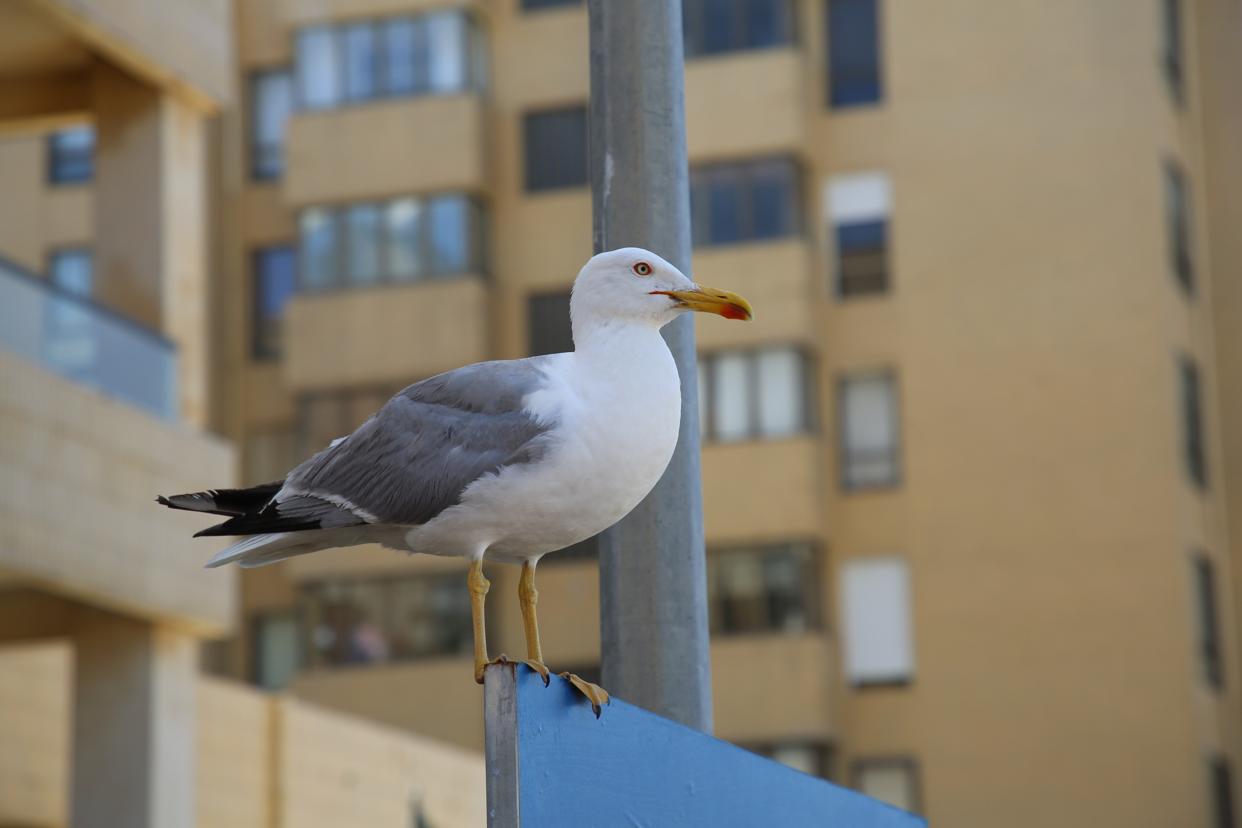 Espihnio, Portugal. Andrey Filippov Photographer