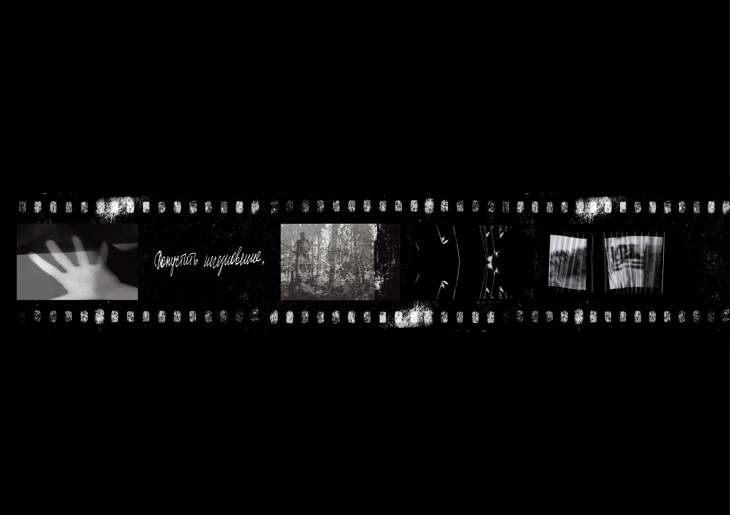 Отраженный свет. Катерина Эделева