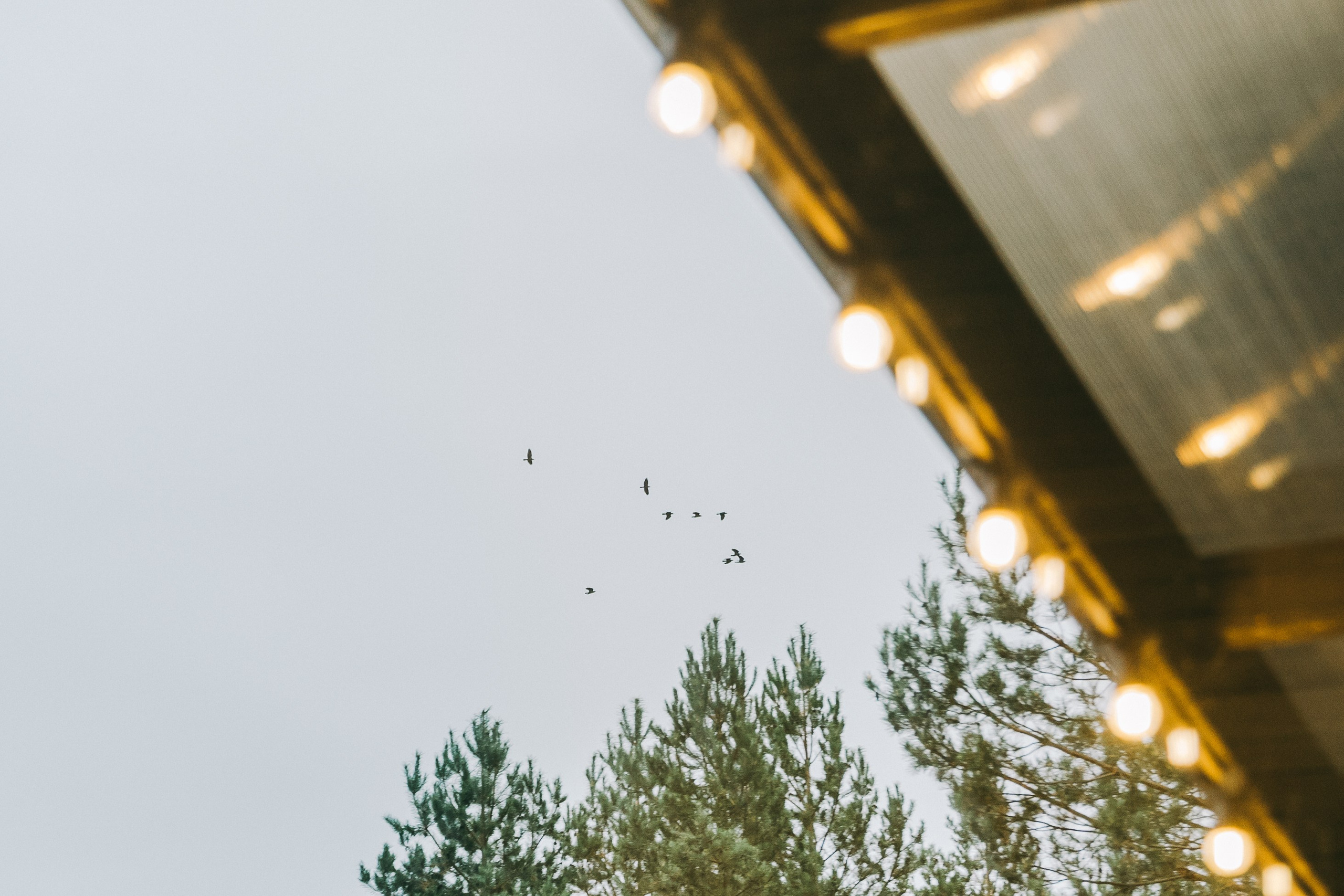 Донвард. Фотограф Астафьева Мария