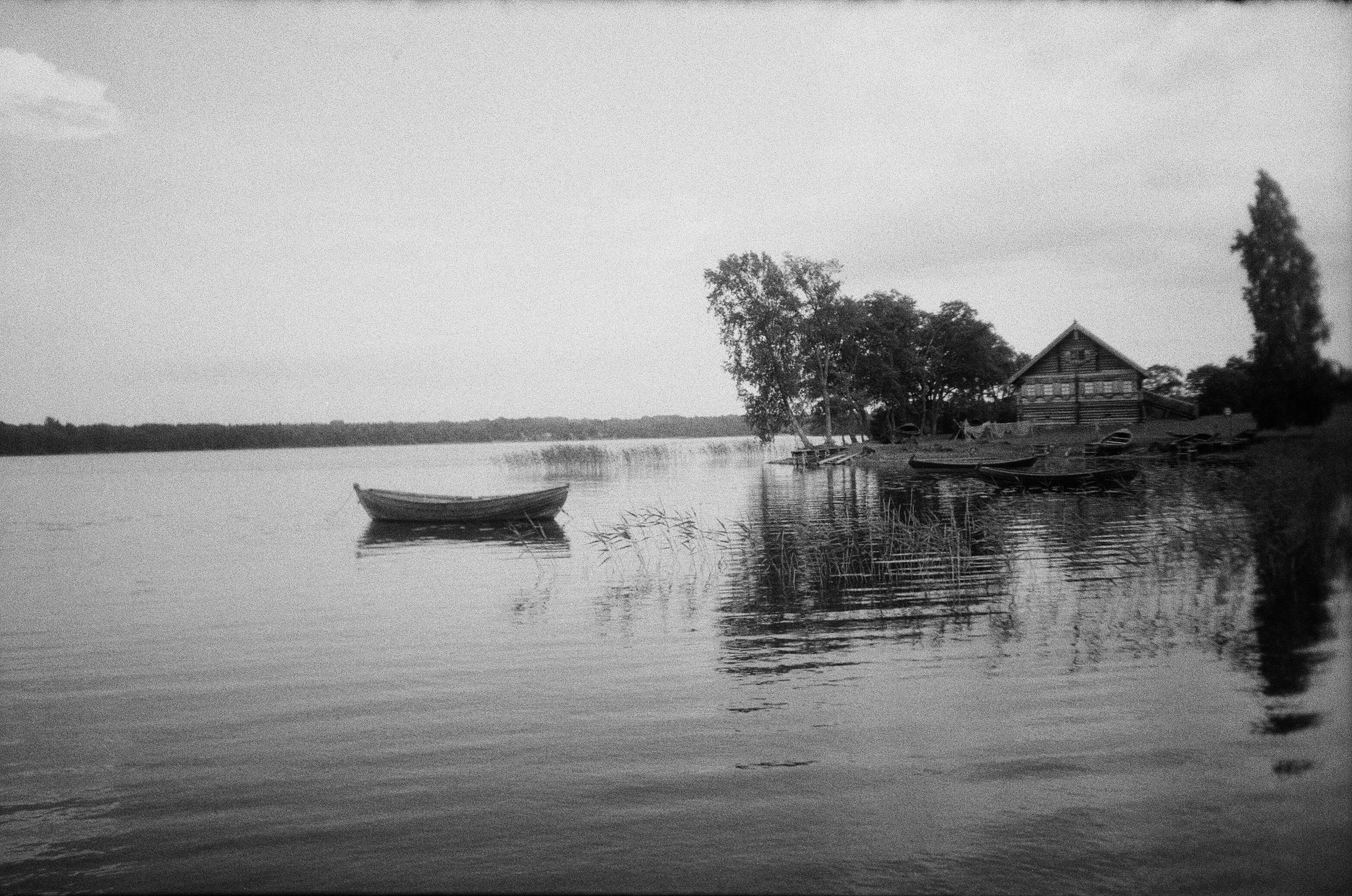 North island. ELINA VLADI