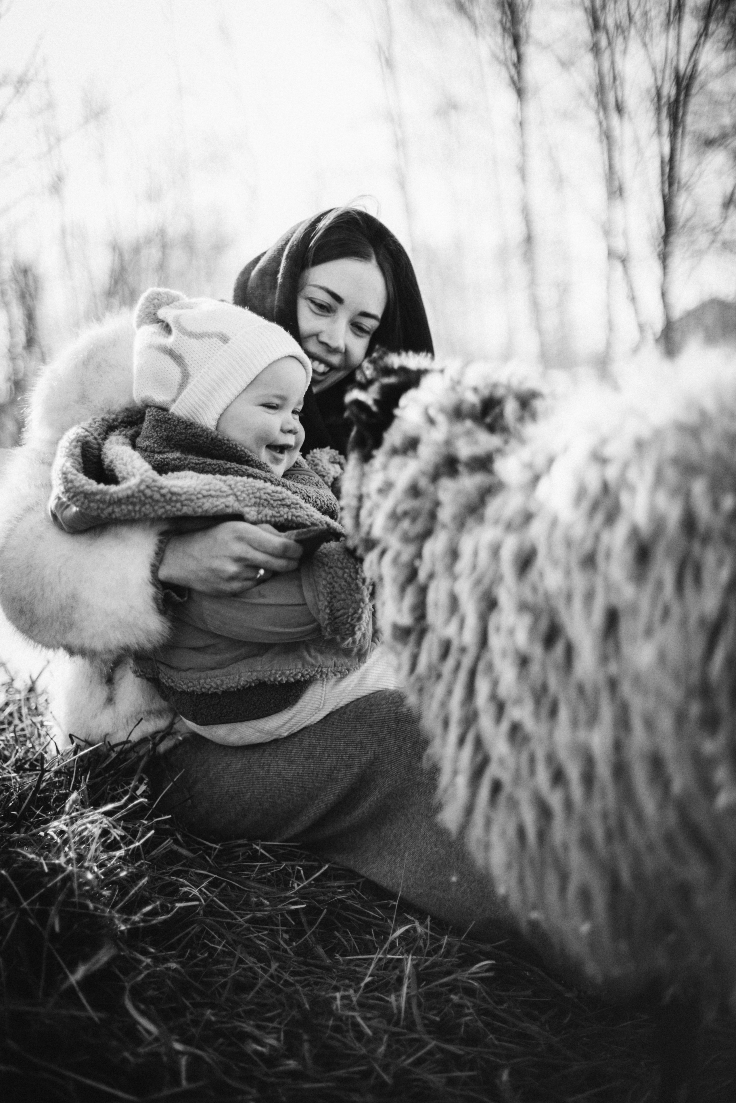 Настя с Сашей и Полей на ферме. Klerout Photographer