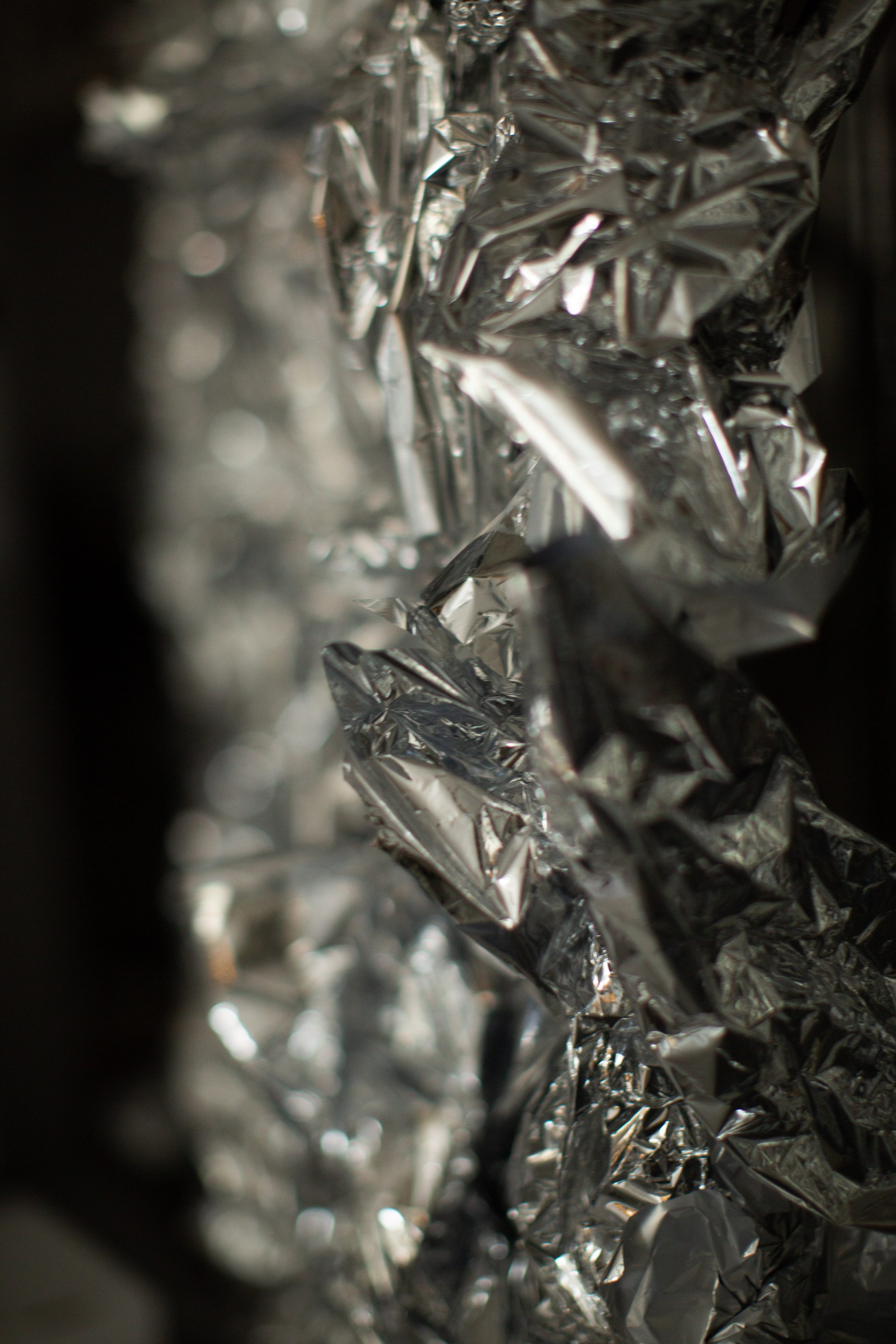 Нг24. Фотограф НатаФото (Наталья Яковенко) Дмитров Москва Питер