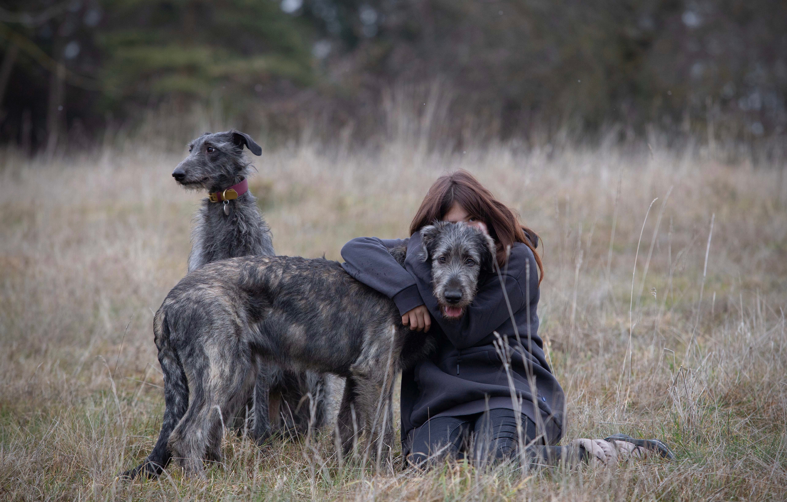 Spring City Blueberry. CLYDESDALE HOUSE