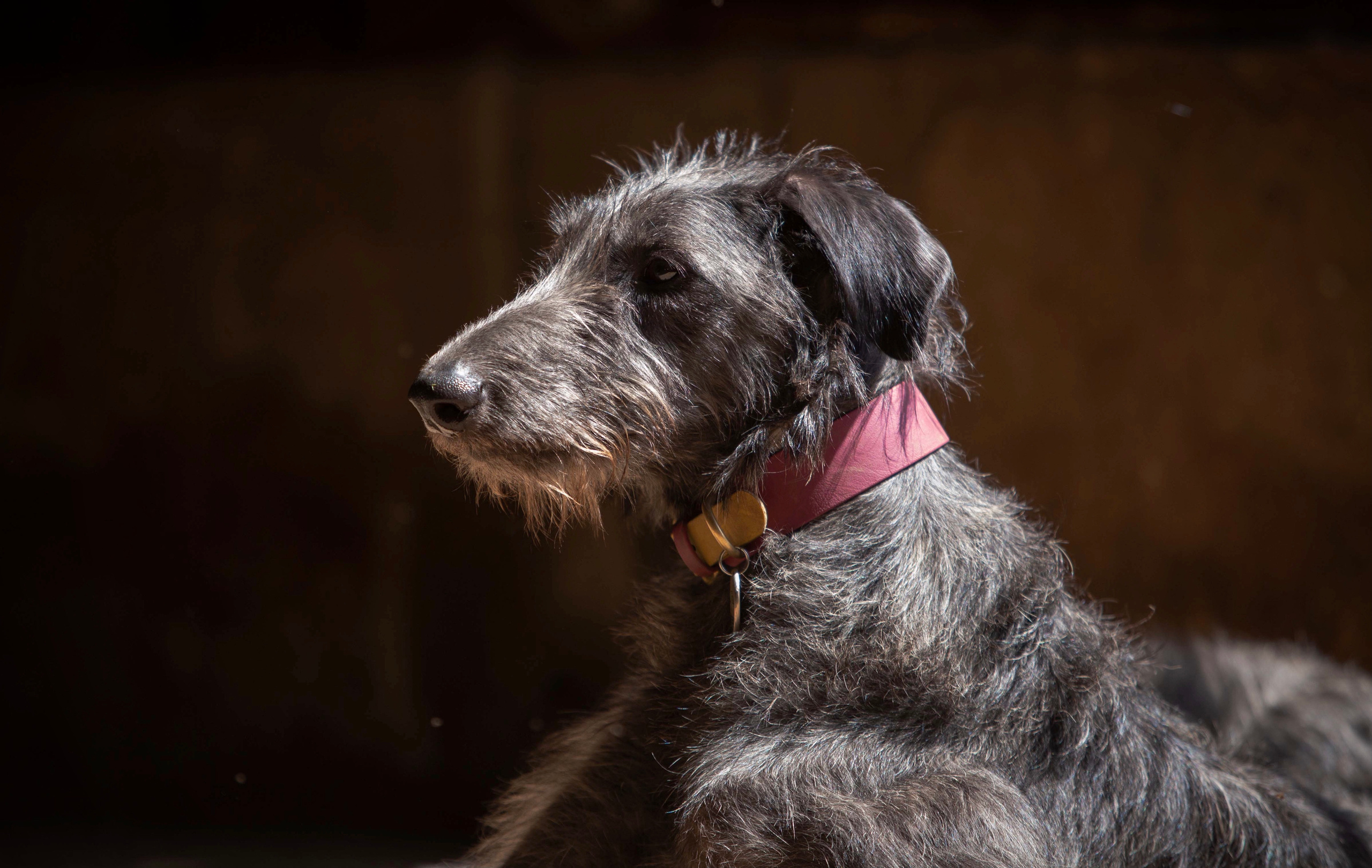 Silva Isa Sence of Beauty. CLYDESDALE HOUSE