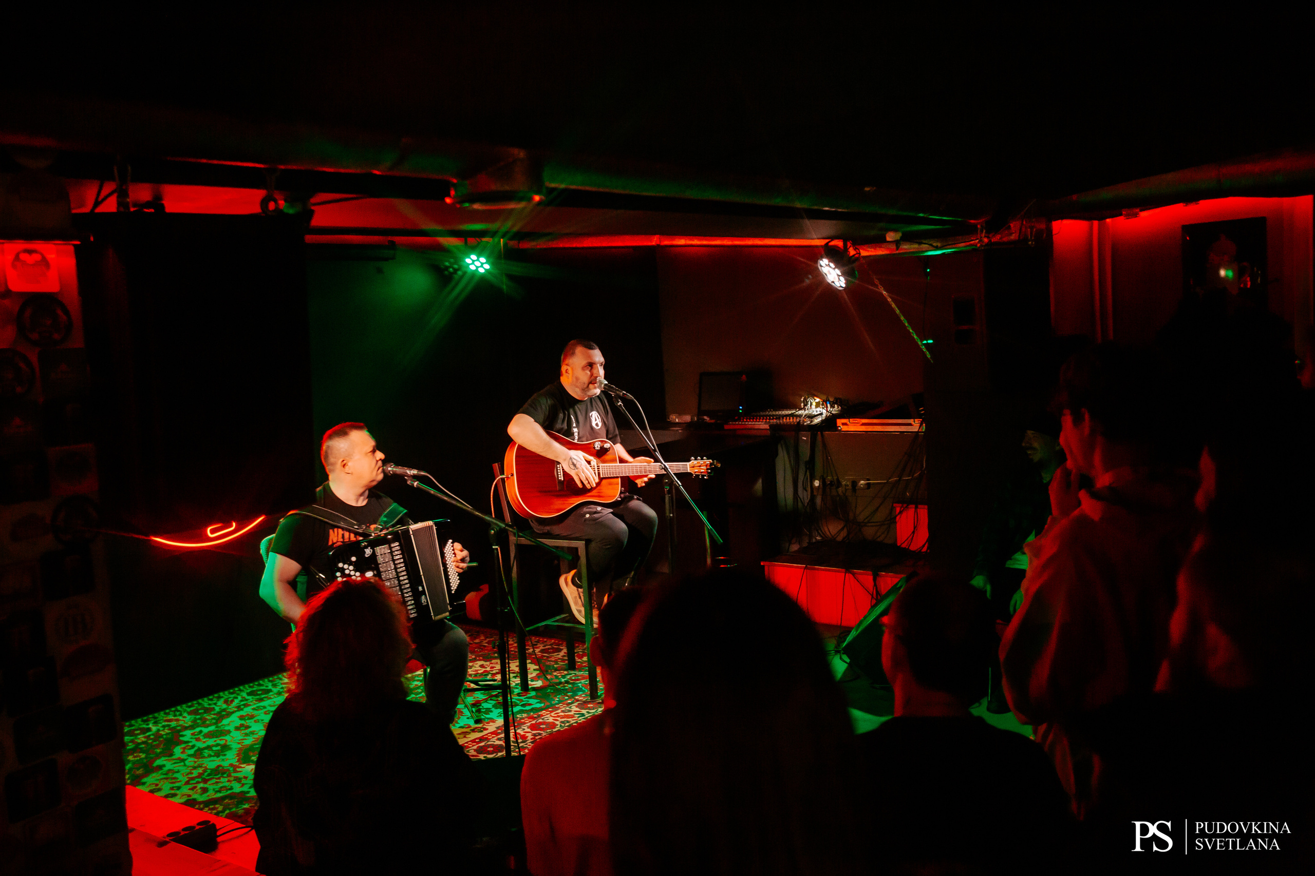 Анимация. Аккустика. Фотограф Тольятти Светлана Пудовкина