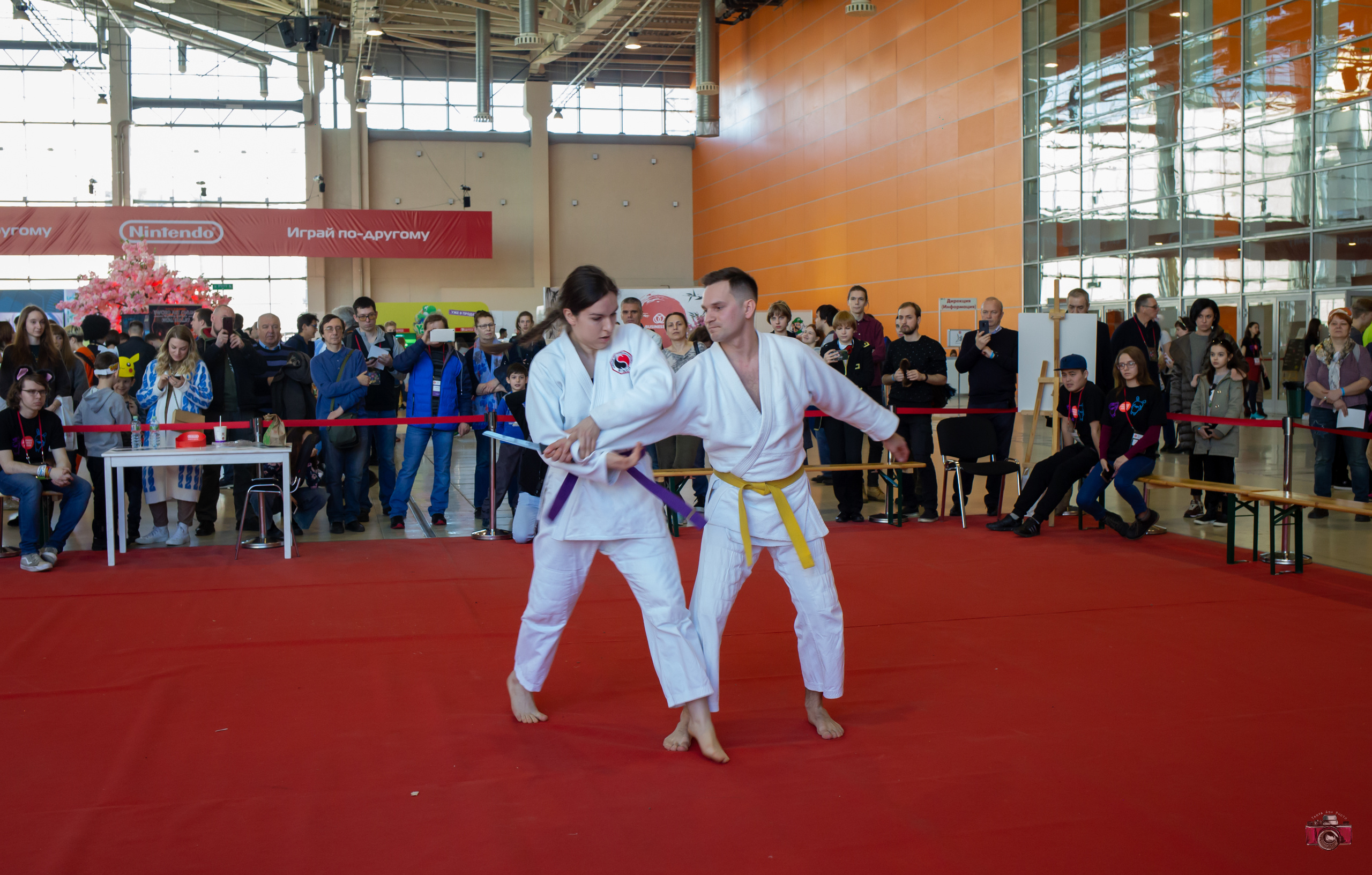 Фестиваль Hinode Power Japan 2019. Photographer Sonkina Tatiana (Tanya Ash)