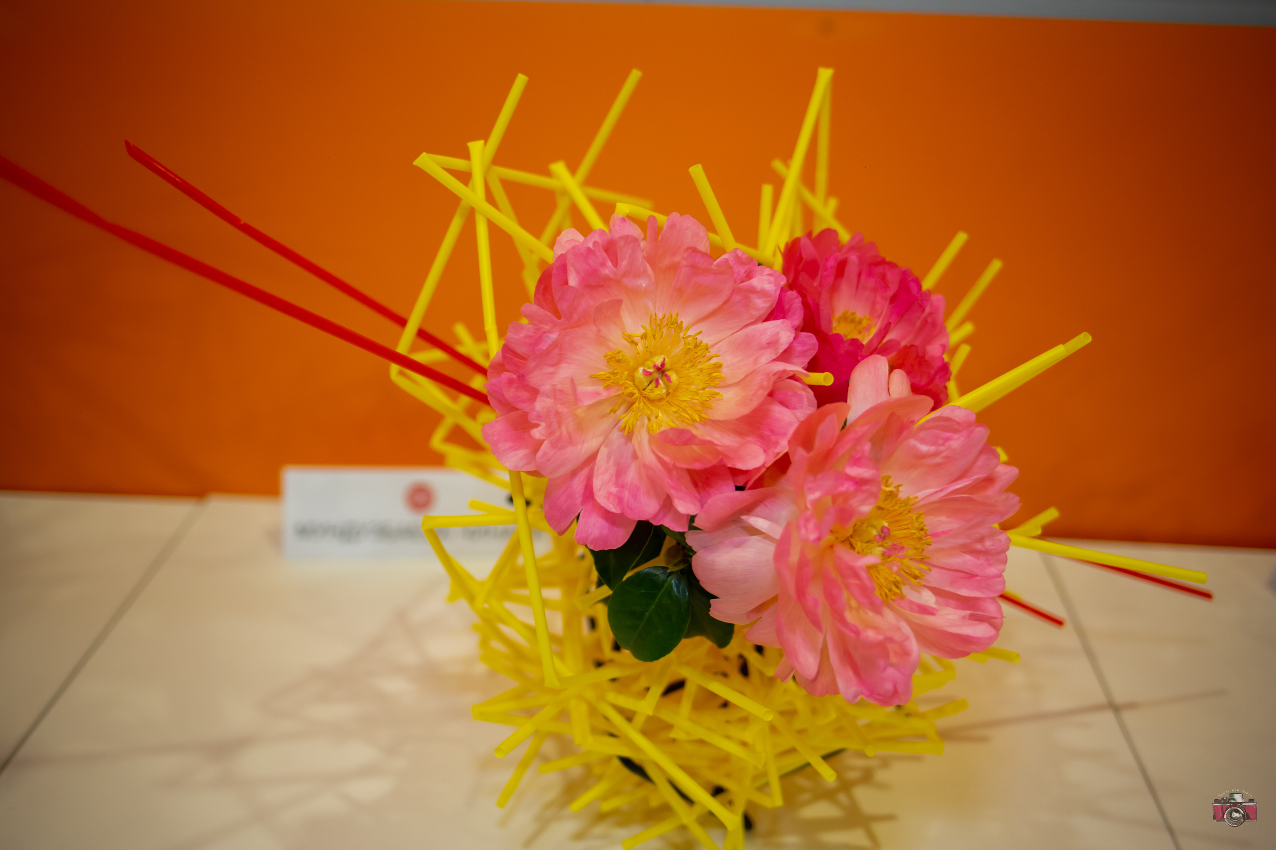 Фестиваль Hinode Power Japan 2019. Photographer Sonkina Tatiana (Tanya Ash)