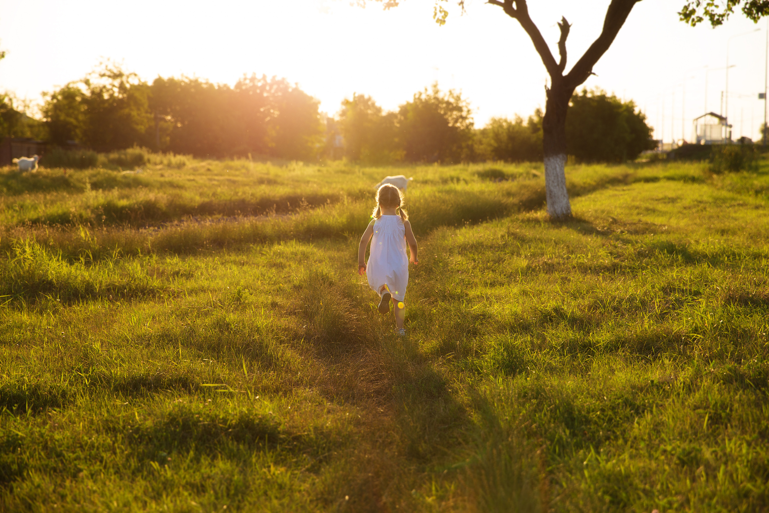 Творческие. Фотограф Любава Колесник. Выпускные альбомы в Крымском районе